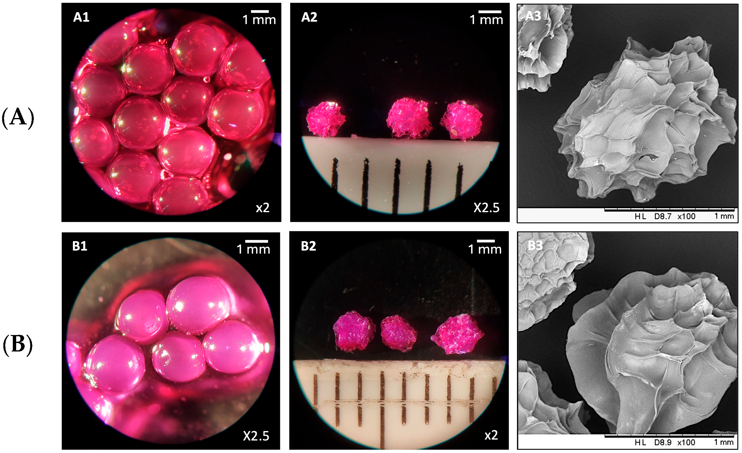 Nanomaterials 15 00706 g007