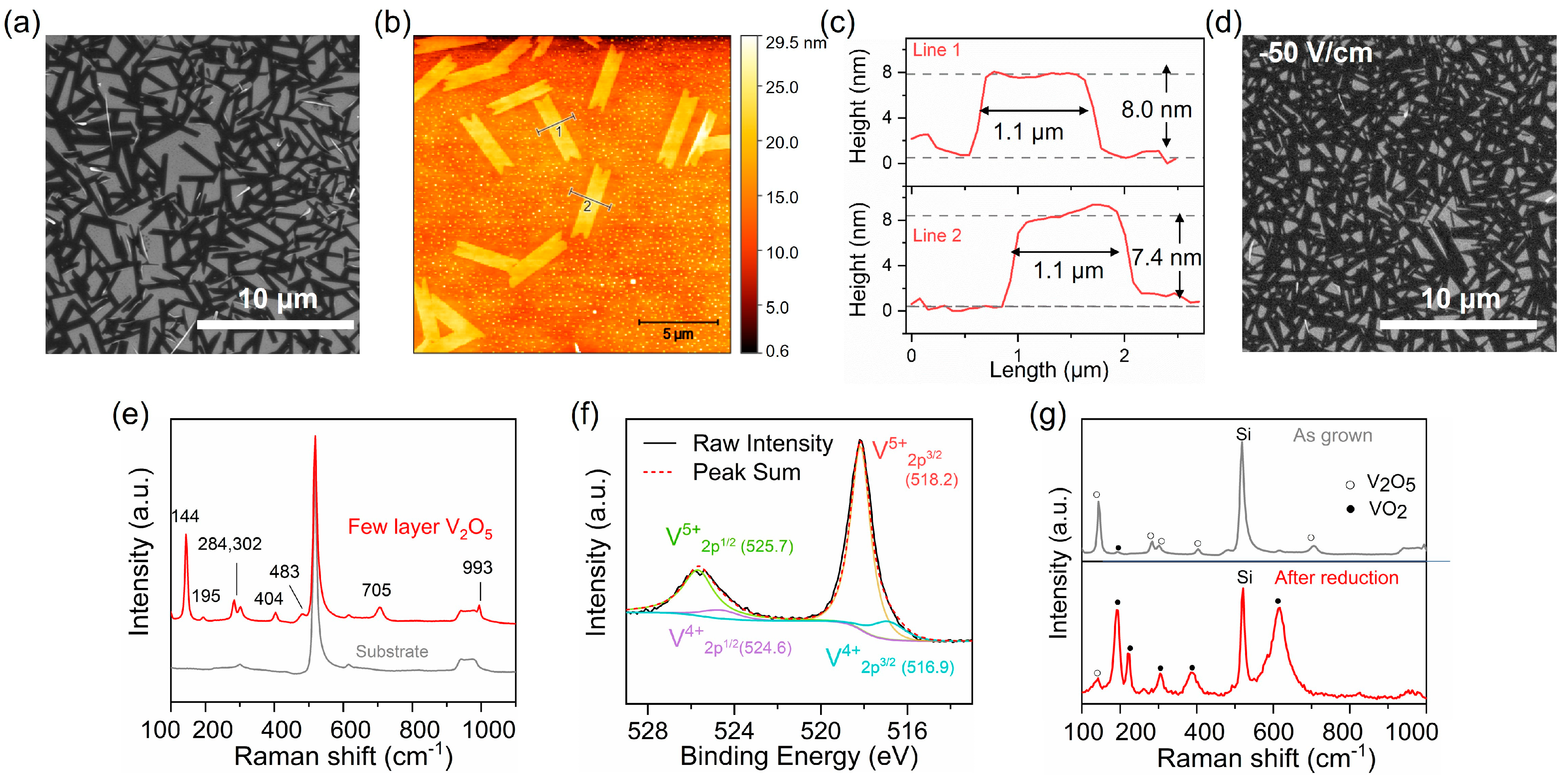Nanomaterials 15 00709 g004