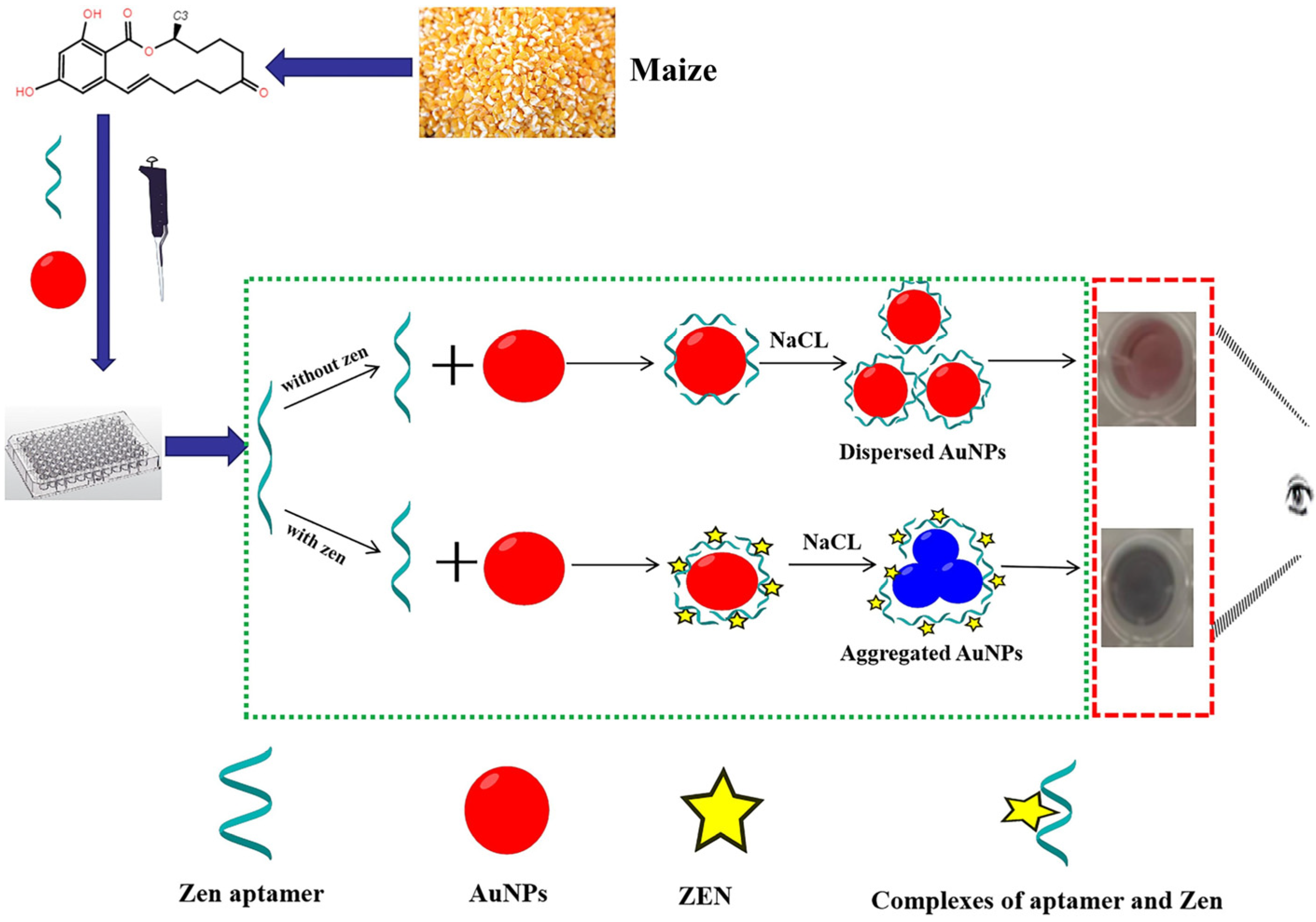 Nanomaterials 15 00712 g004