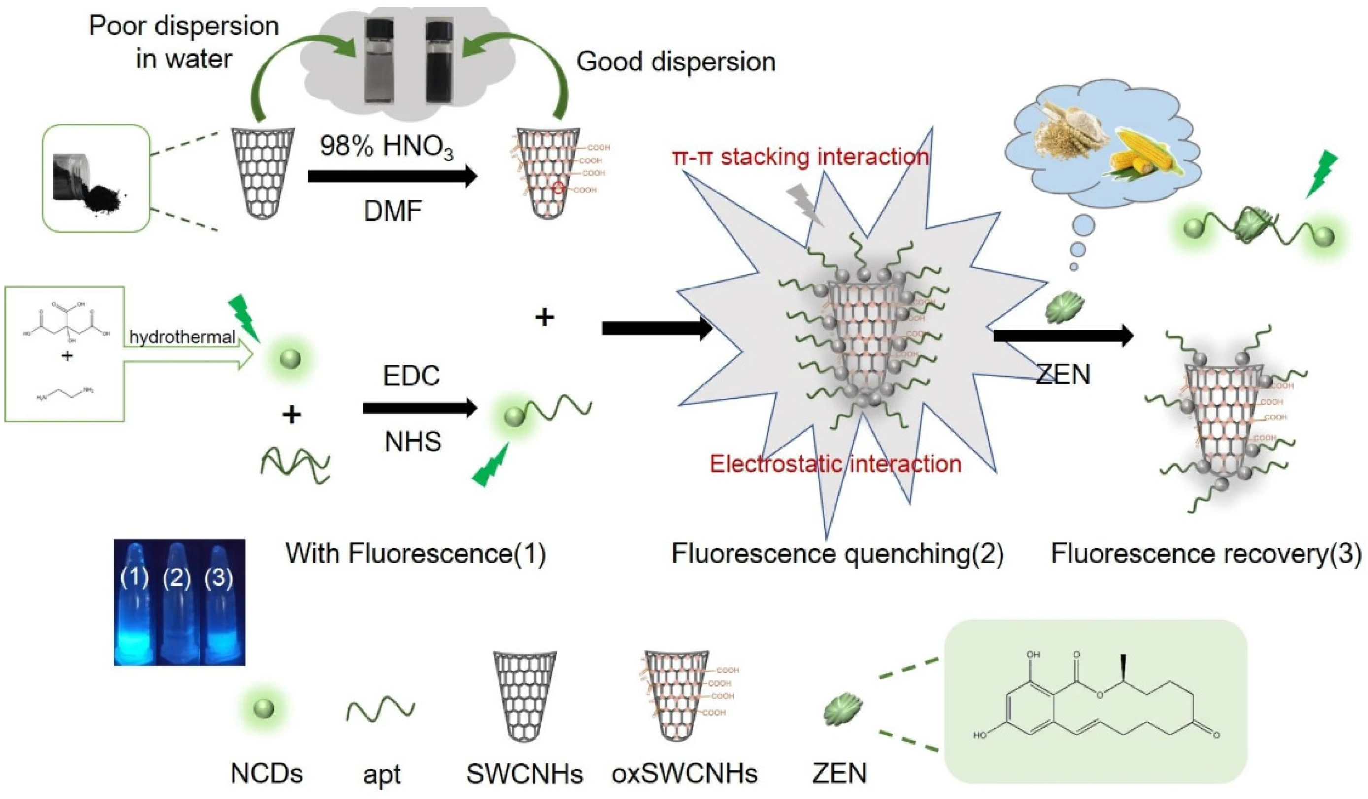 Nanomaterials 15 00712 g005