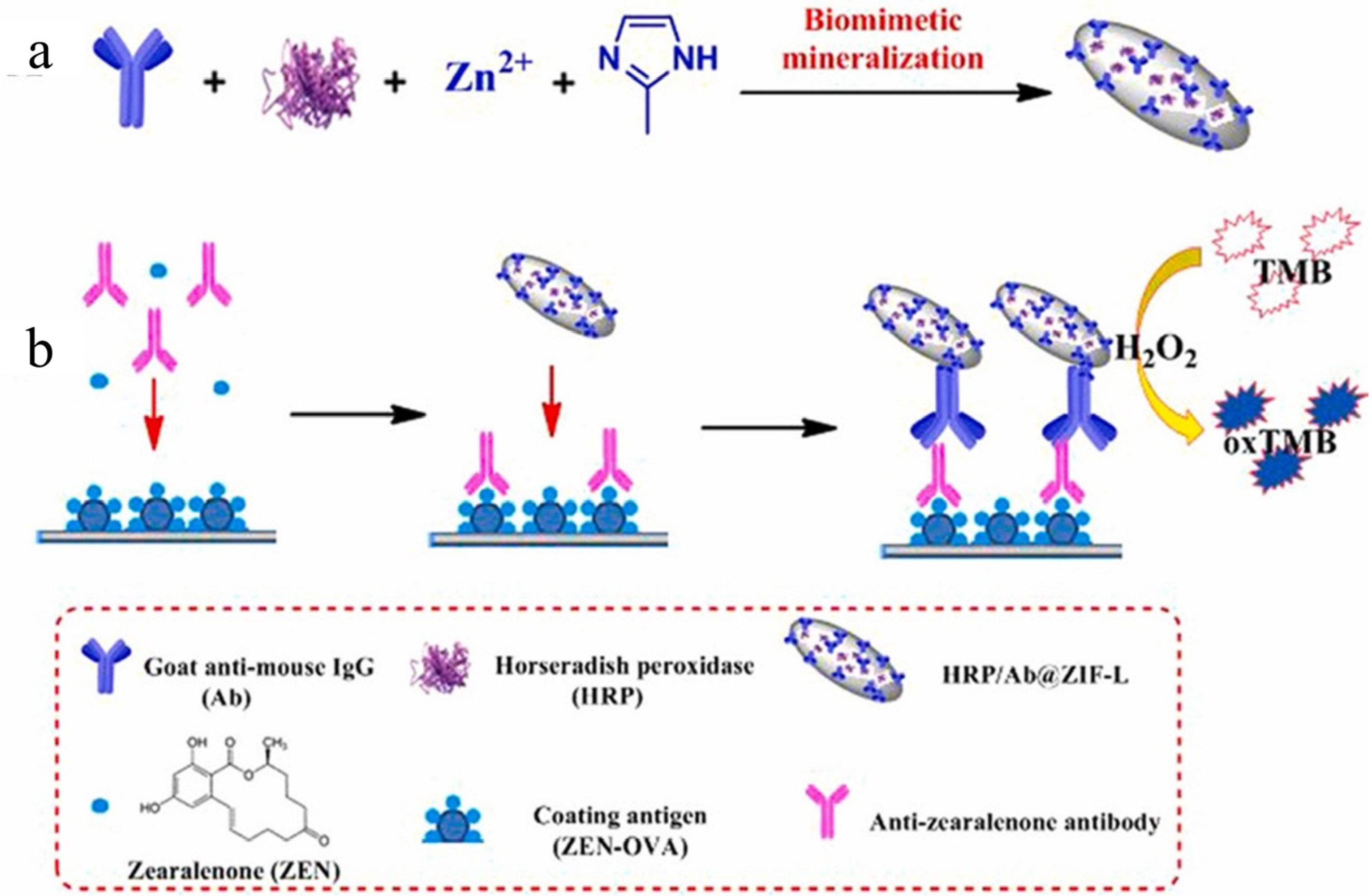 Nanomaterials 15 00712 g008