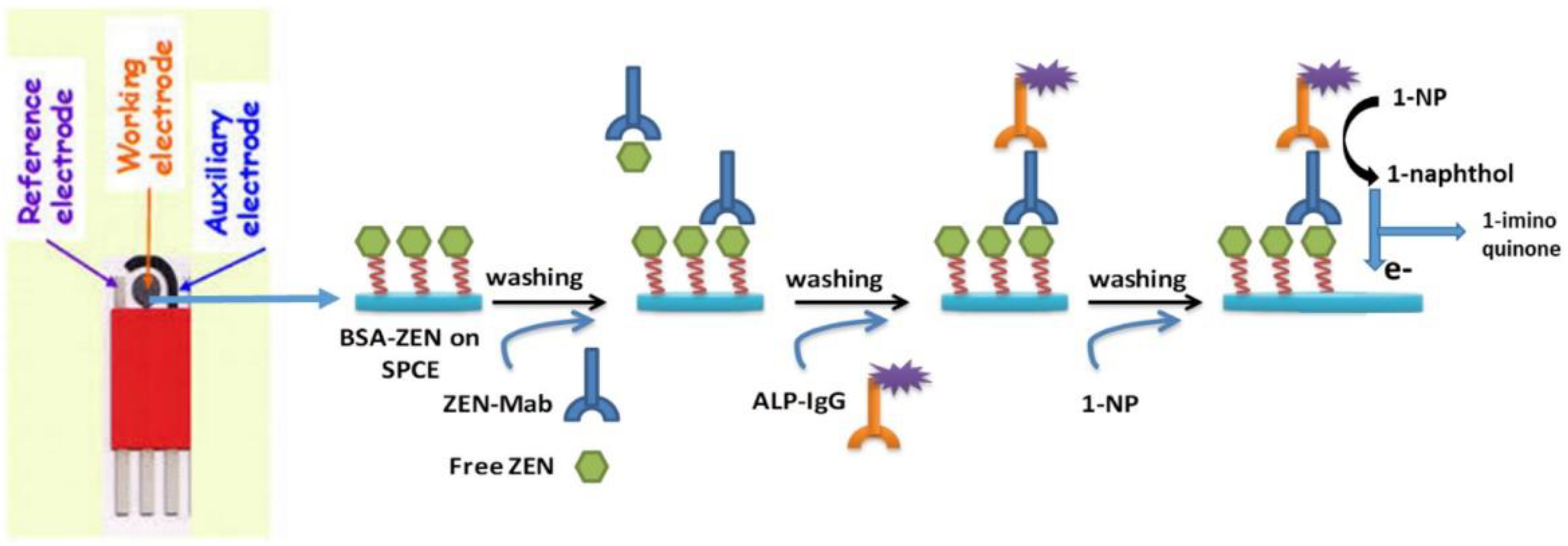 Nanomaterials 15 00712 g009