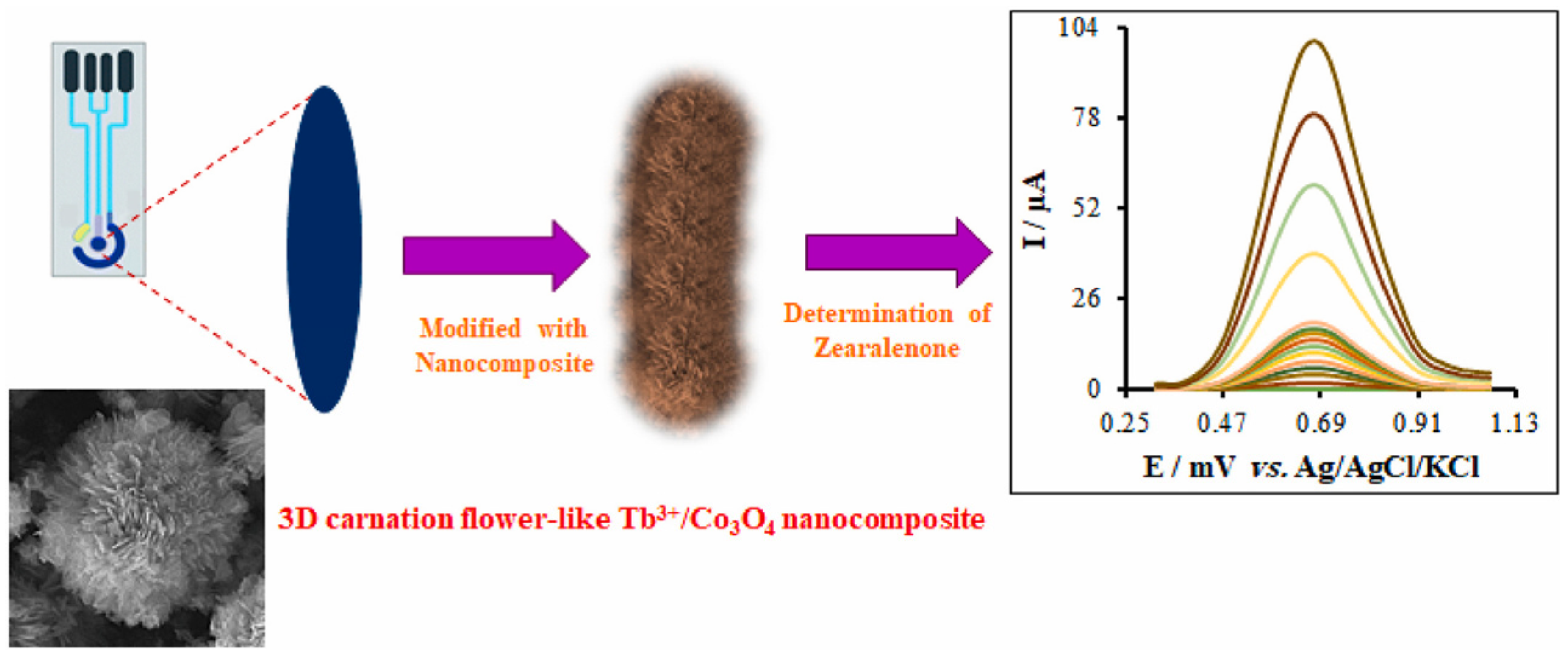 Nanomaterials 15 00712 g015