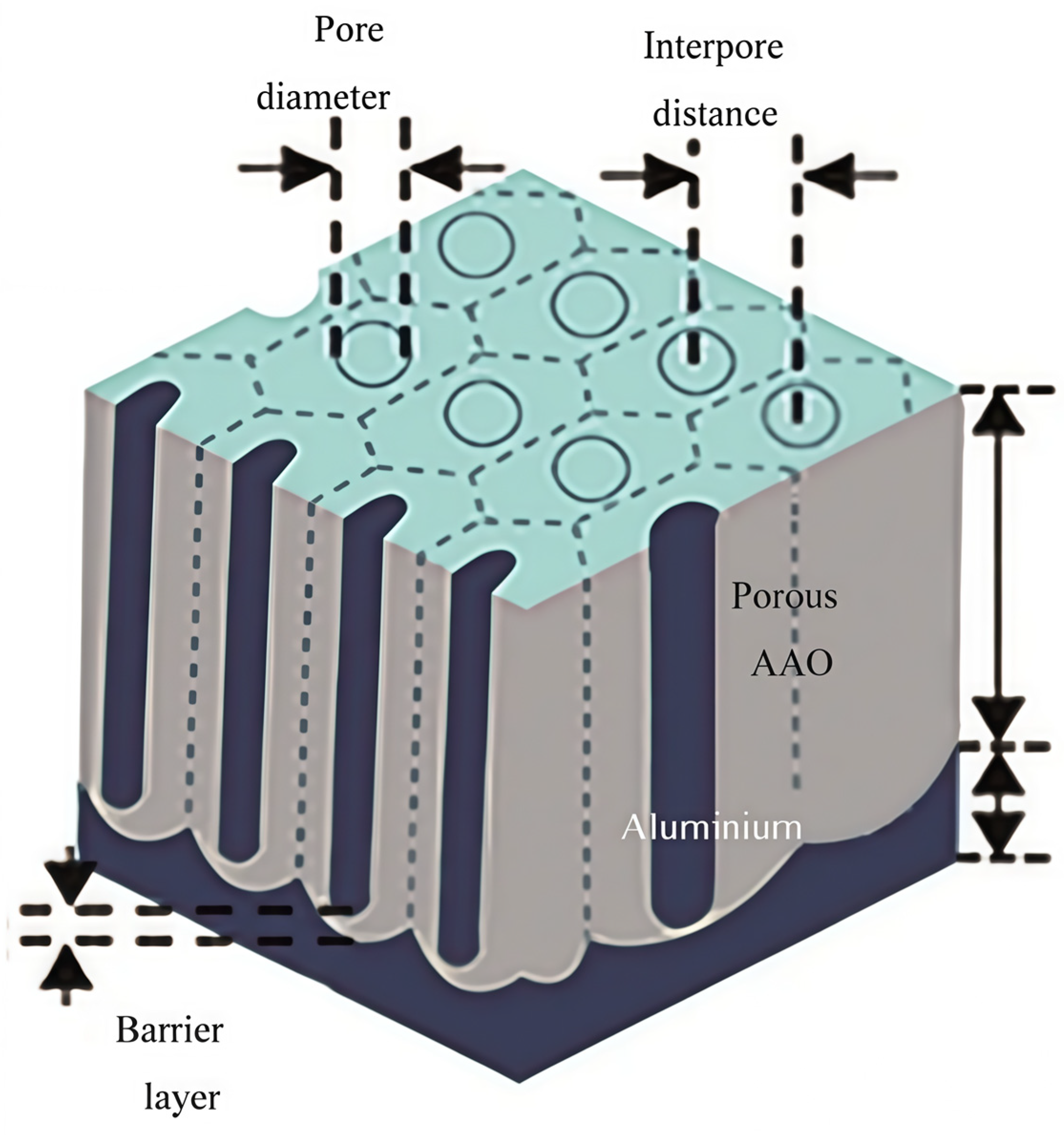 Nanomaterials 15 00724 g003