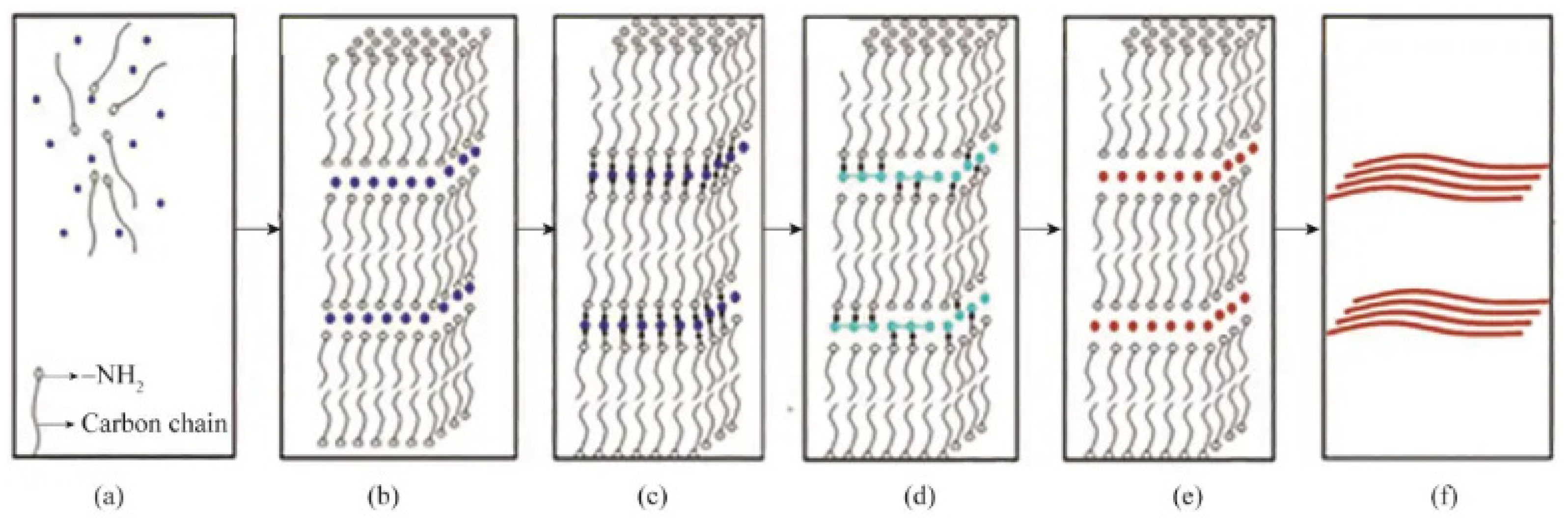 Nanomaterials 15 00724 g005