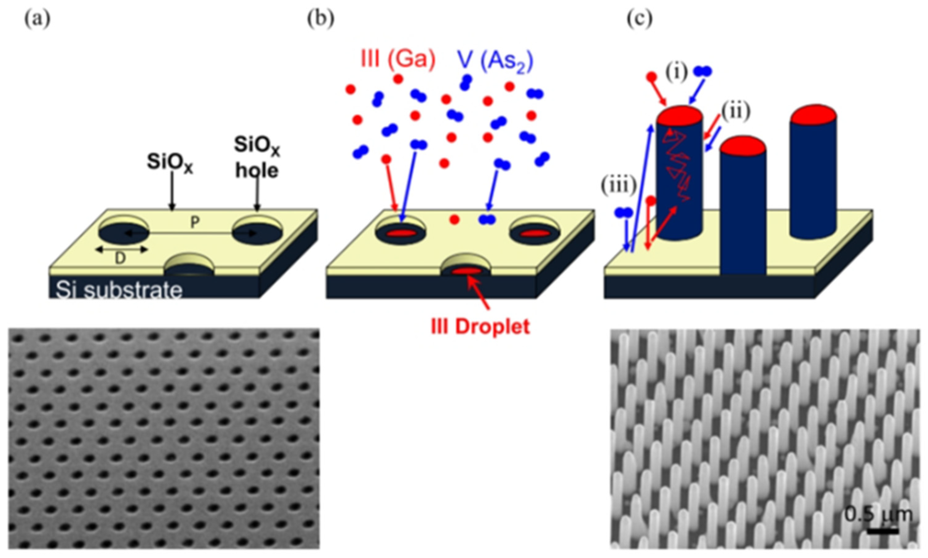 Nanomaterials 15 00724 g007