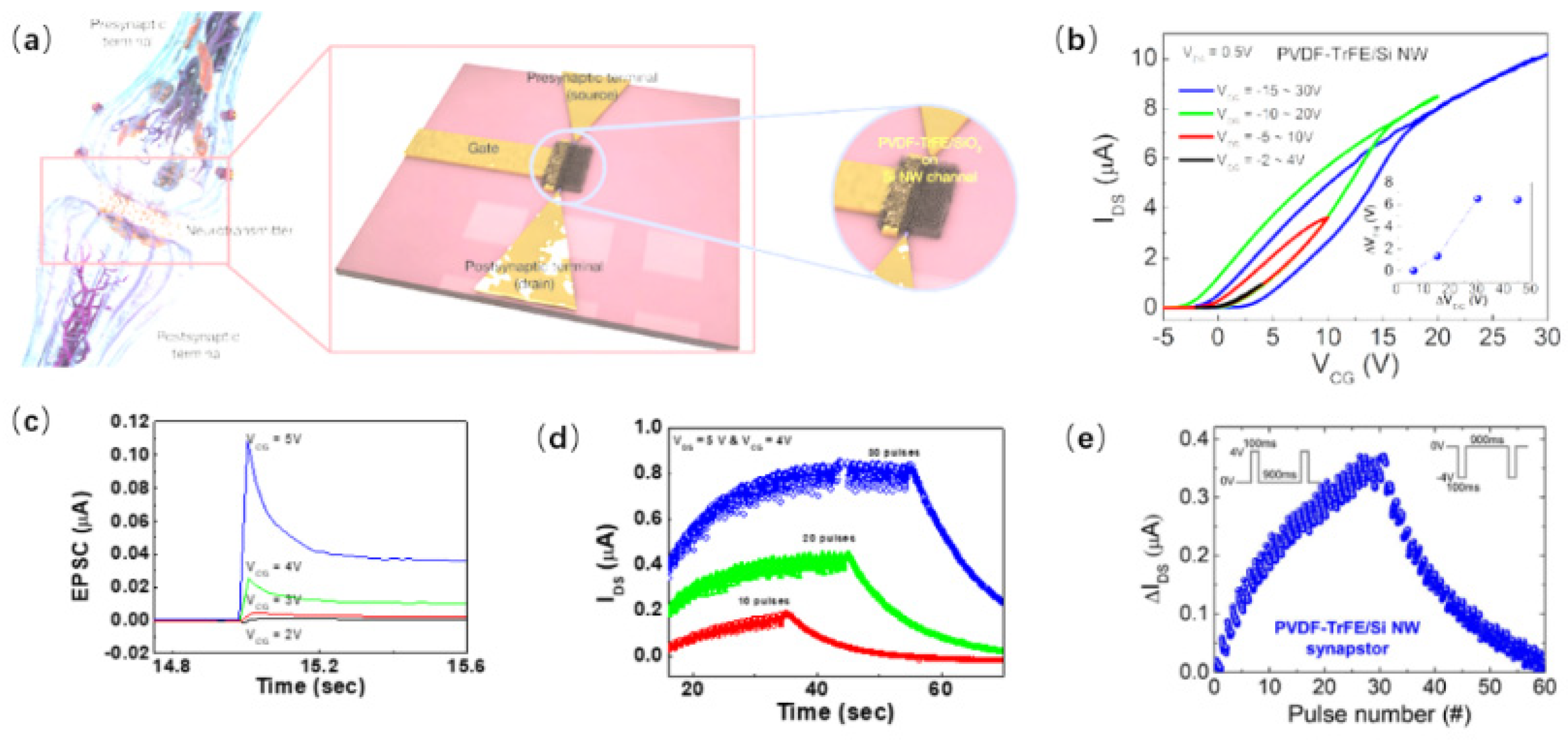 Nanomaterials 15 00724 g011