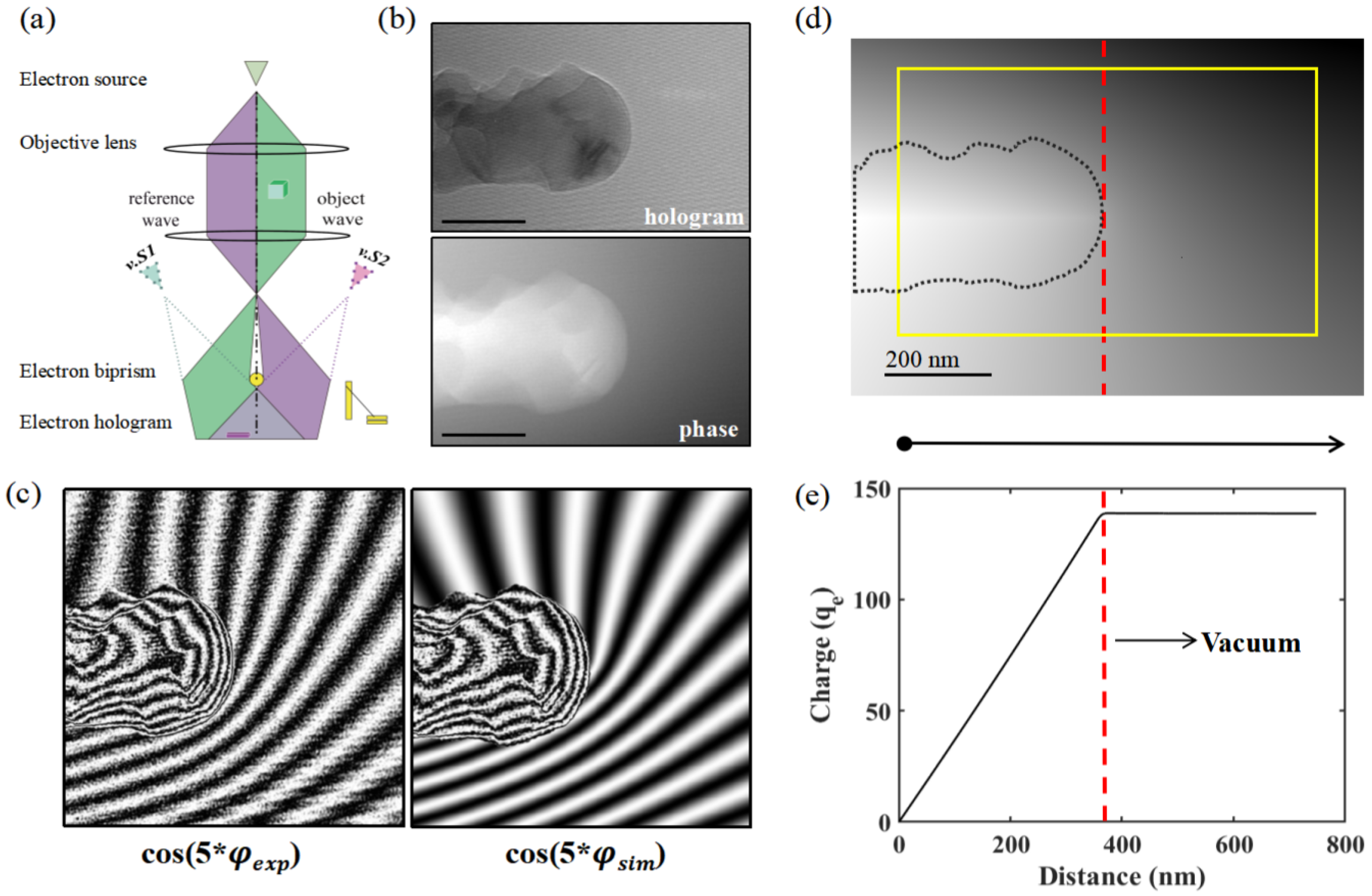 Nanomaterials 15 00726 g005