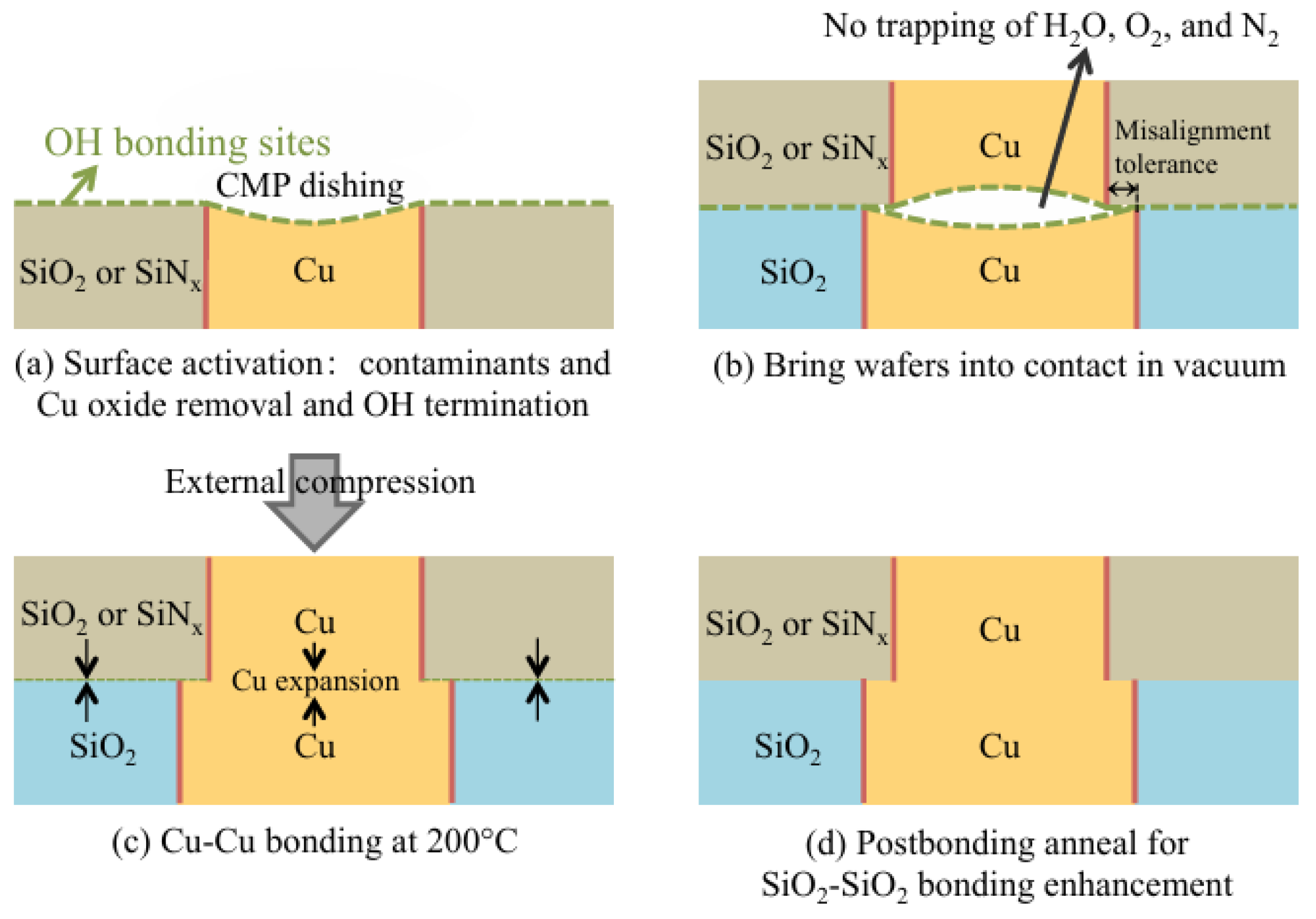 Nanomaterials 15 00729 g005