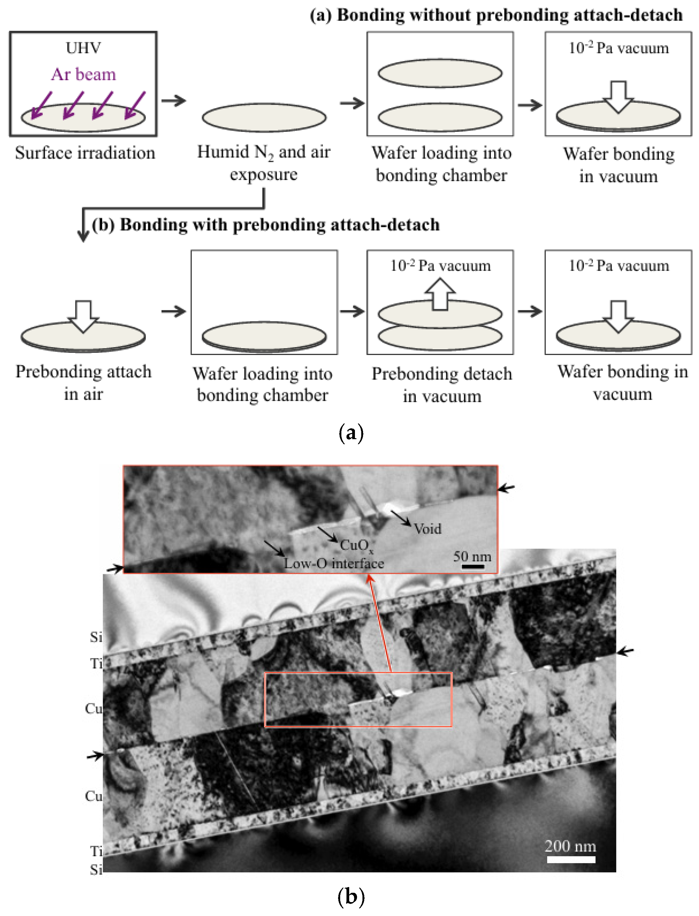 Nanomaterials 15 00729 g006