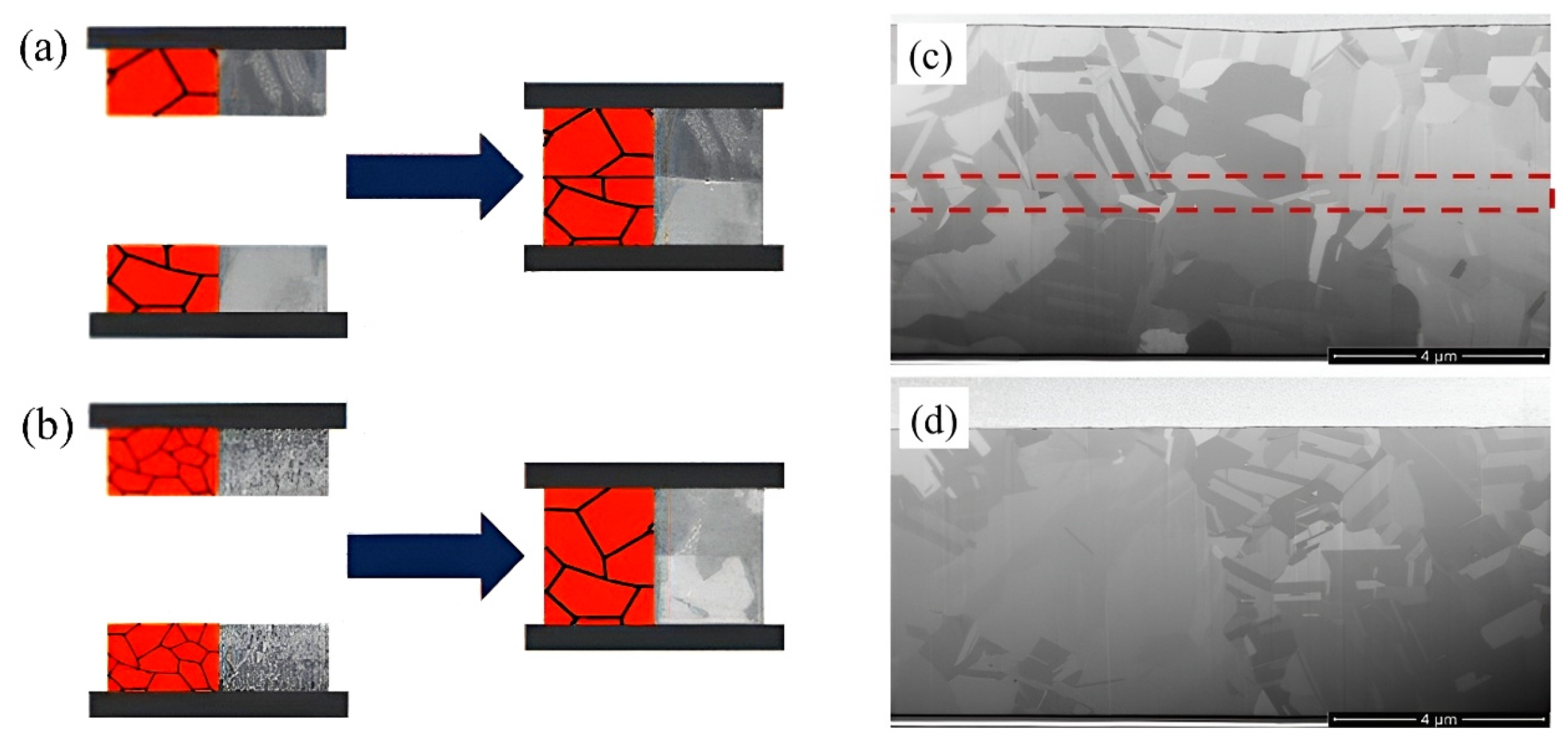 Nanomaterials 15 00729 g024