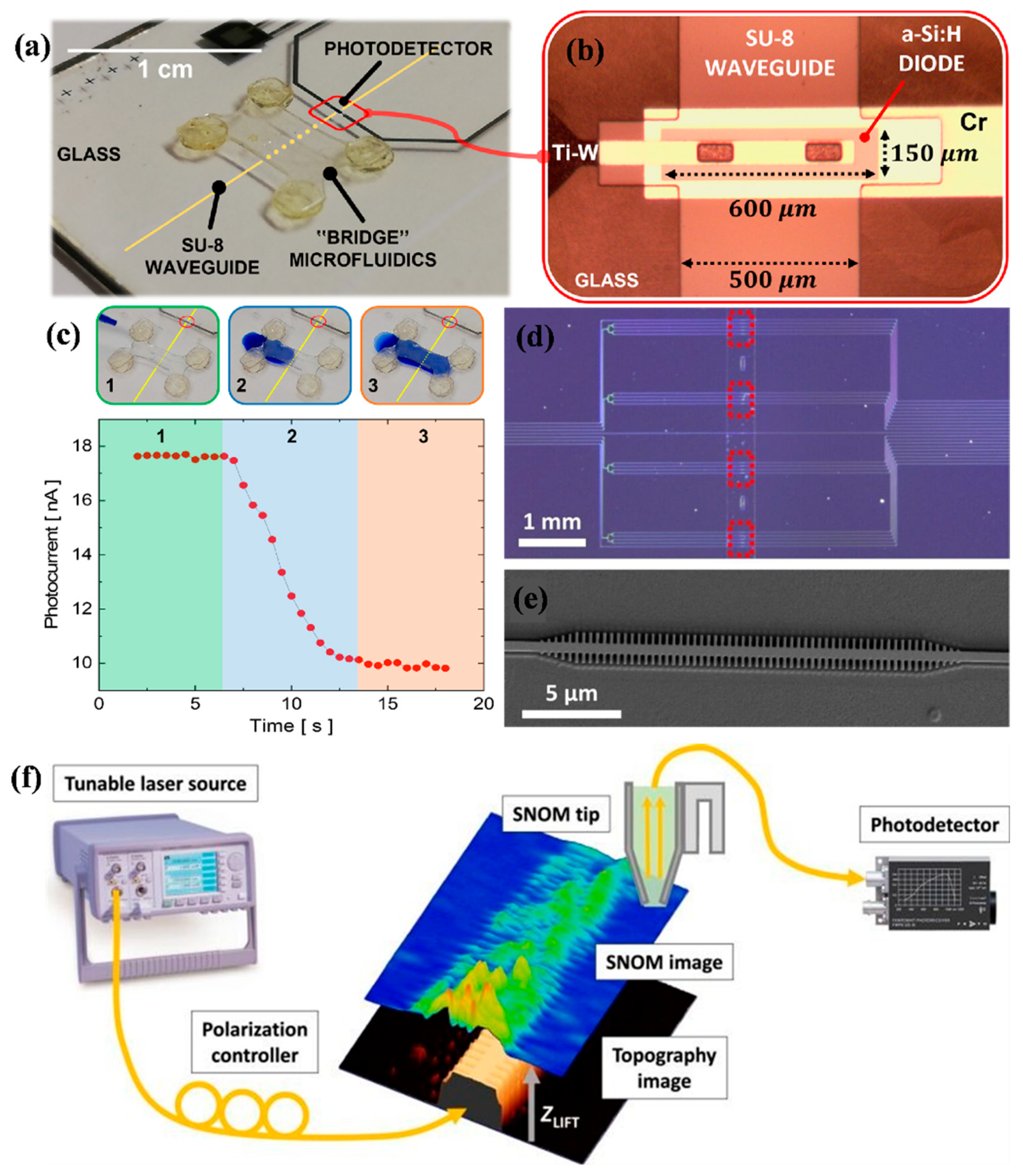 Nanomaterials 15 00731 g001