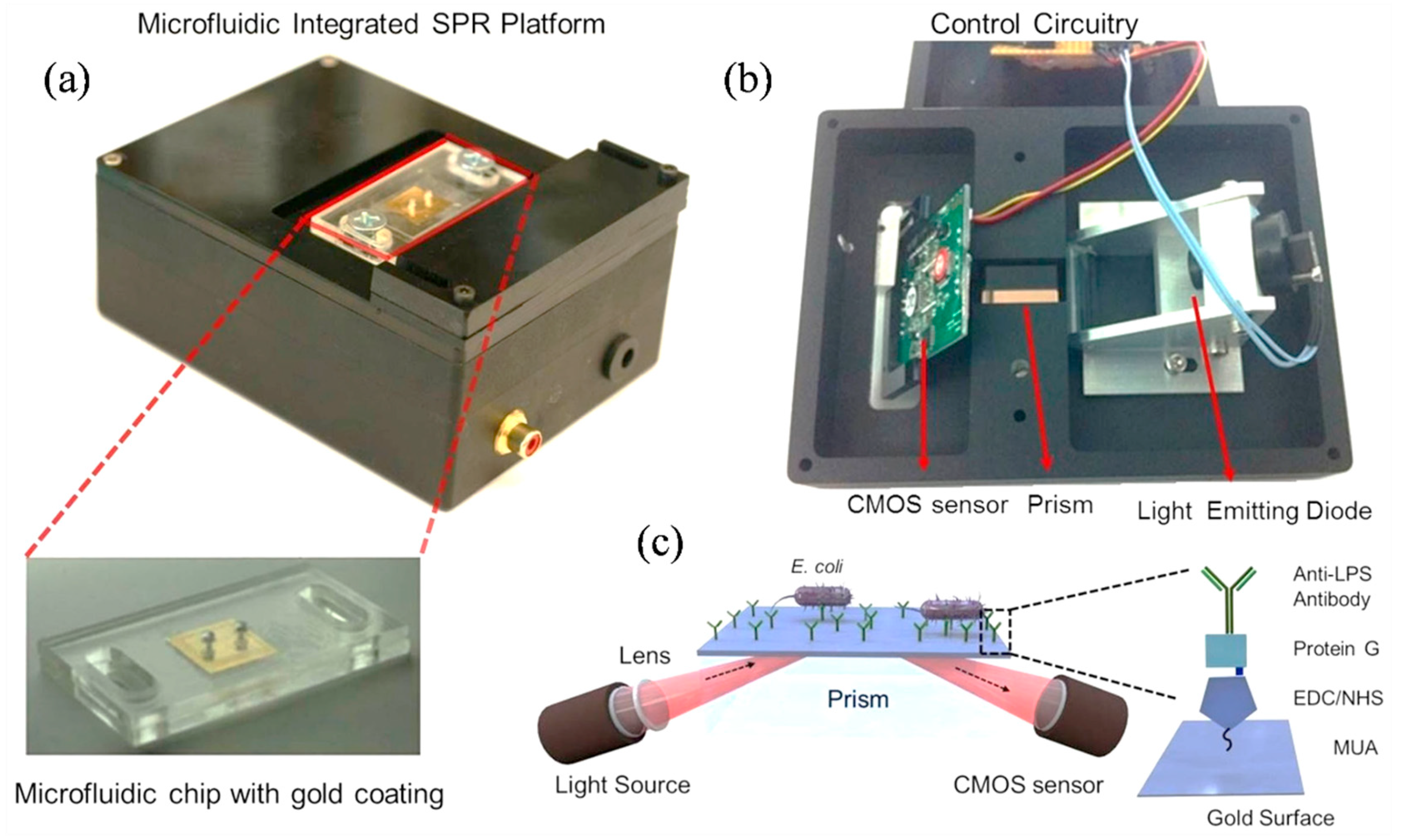 Nanomaterials 15 00731 g007