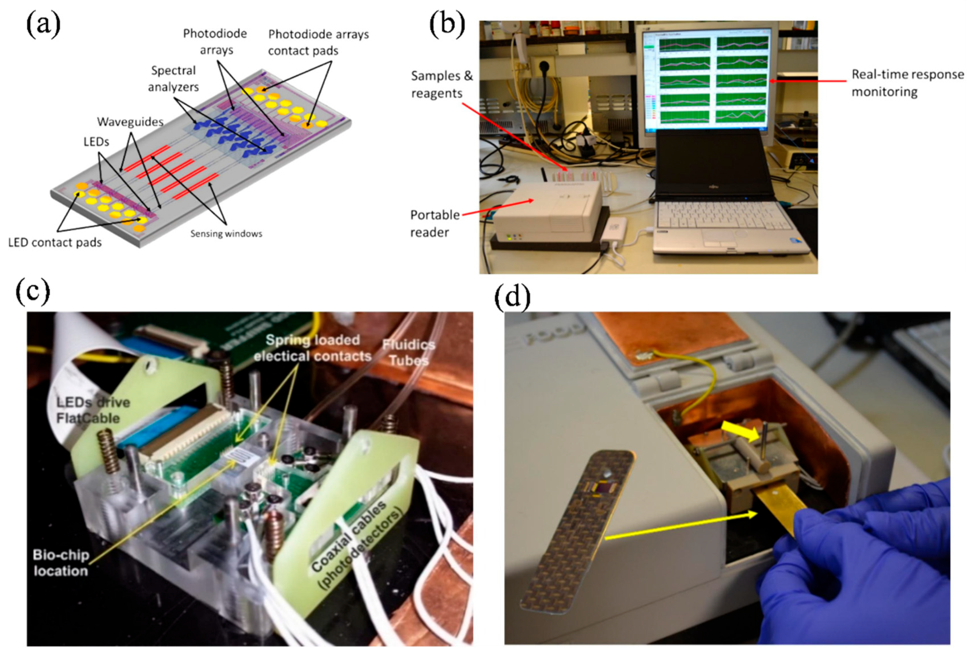 Nanomaterials 15 00731 g011