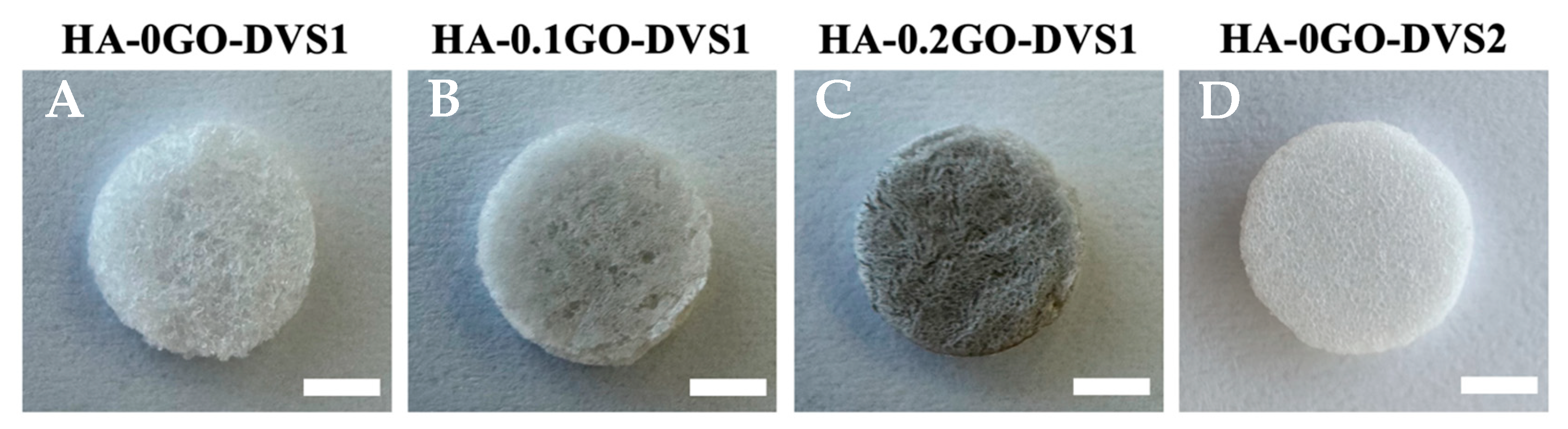 Nanomaterials 15 00735 g001