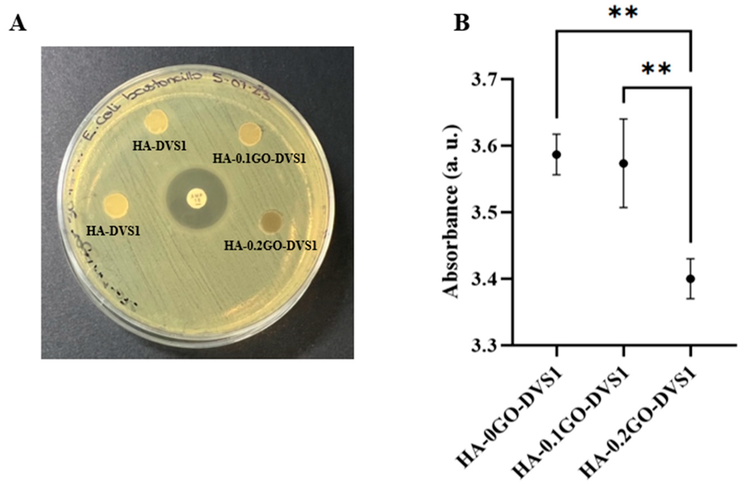 Nanomaterials 15 00735 g010