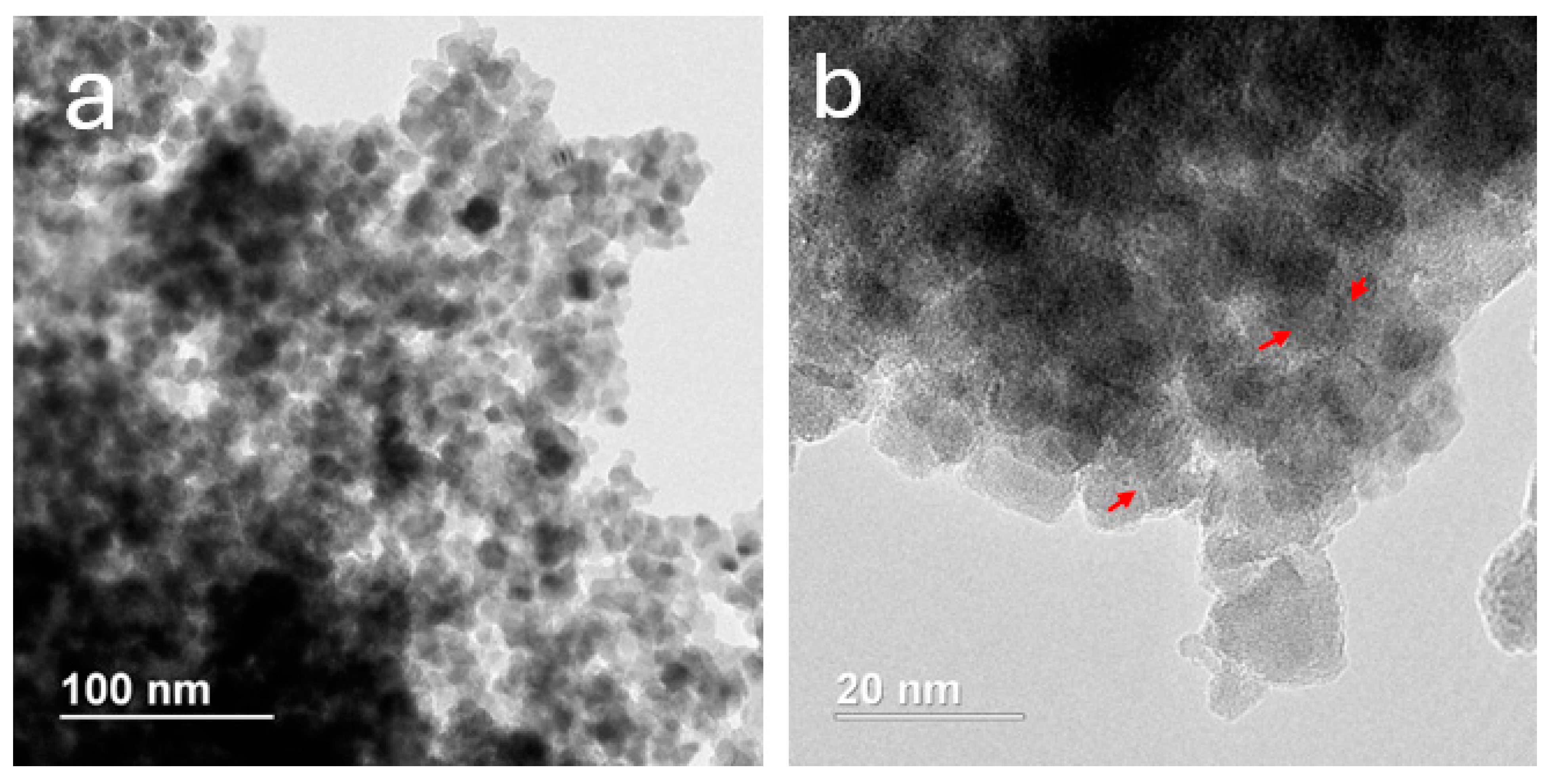 Nanomaterials 15 00740 g003