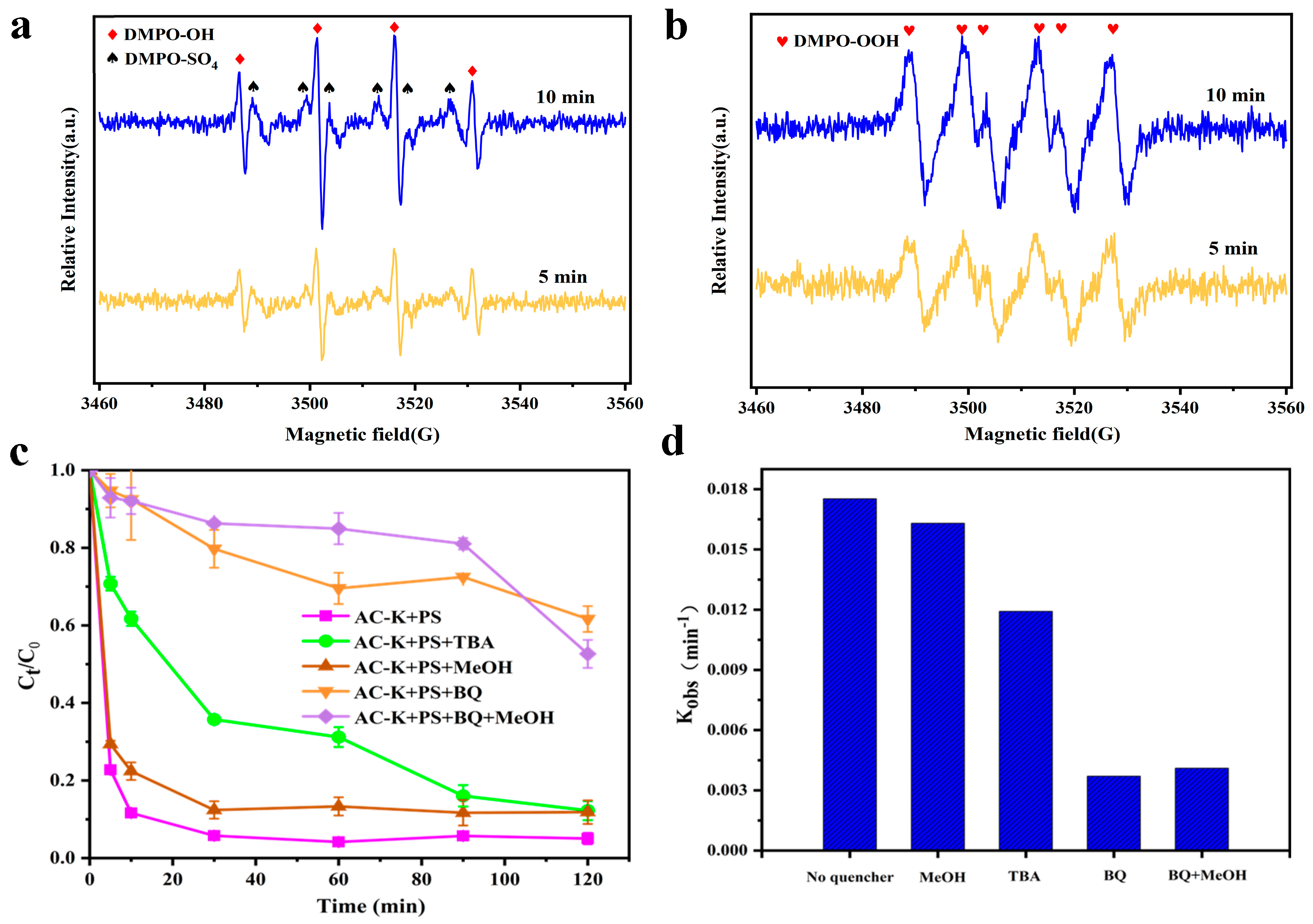 Nanomaterials 15 00744 g017