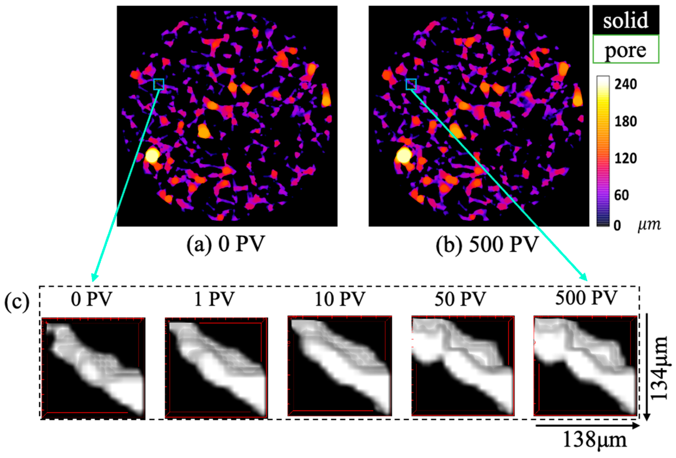 Nanomaterials 15 00747 g013