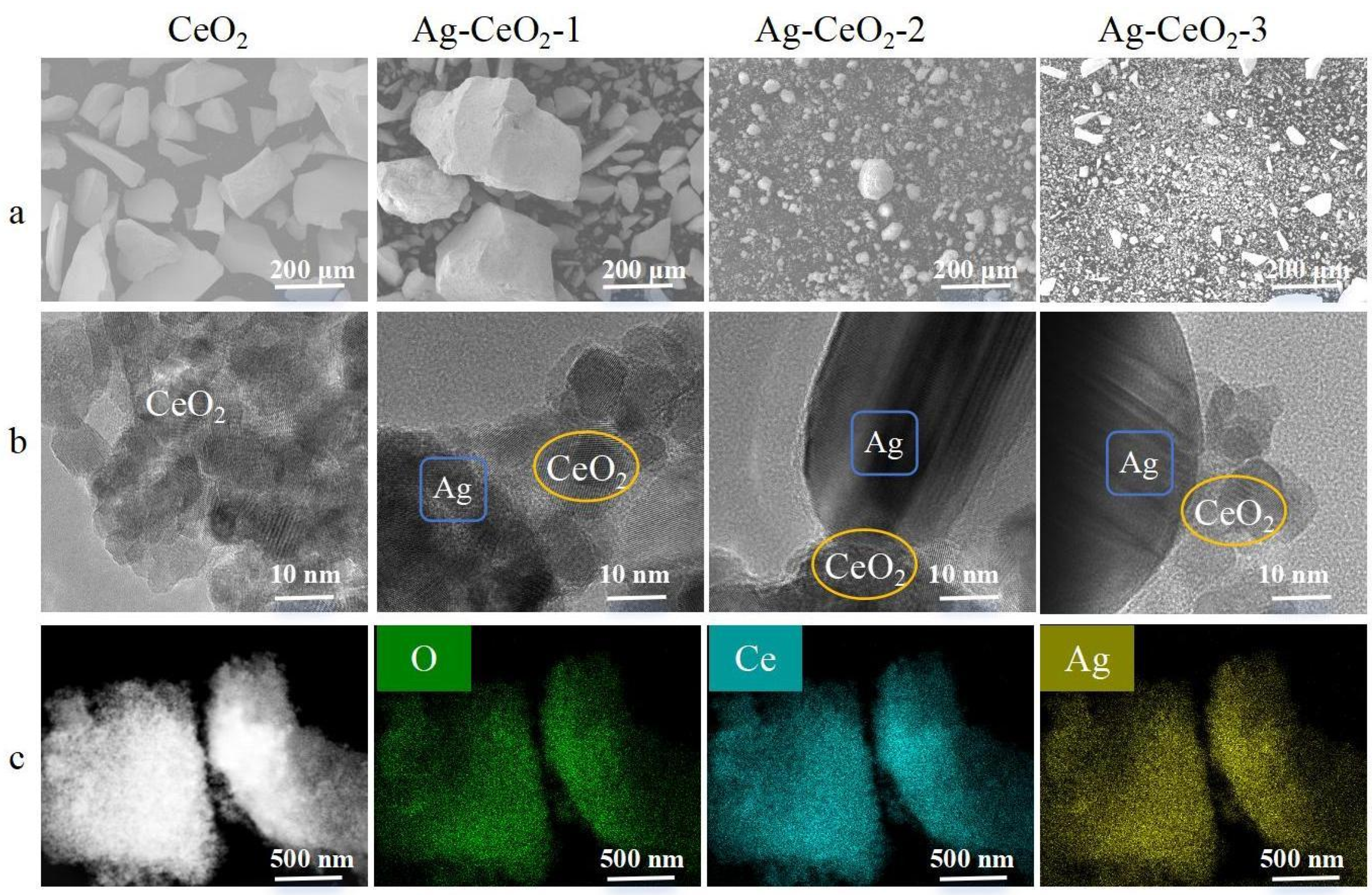Nanomaterials 15 00748 g001