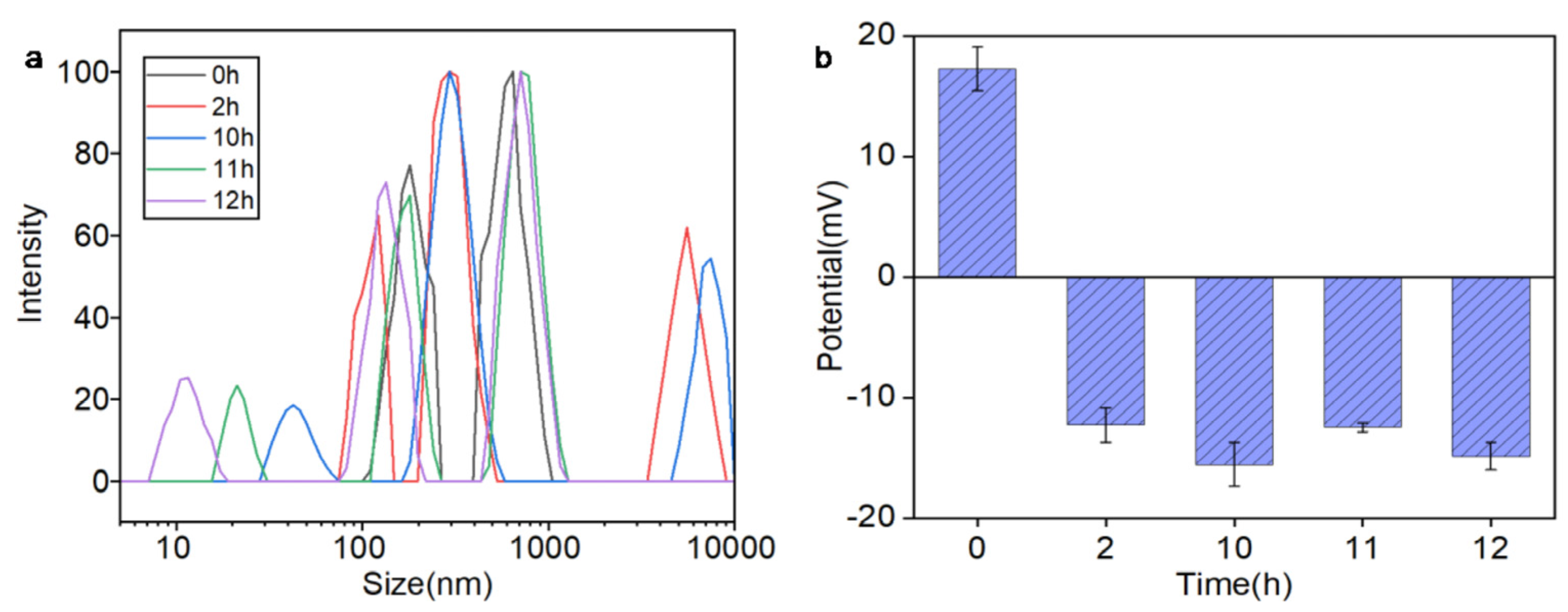 Nanomaterials 15 00748 g004