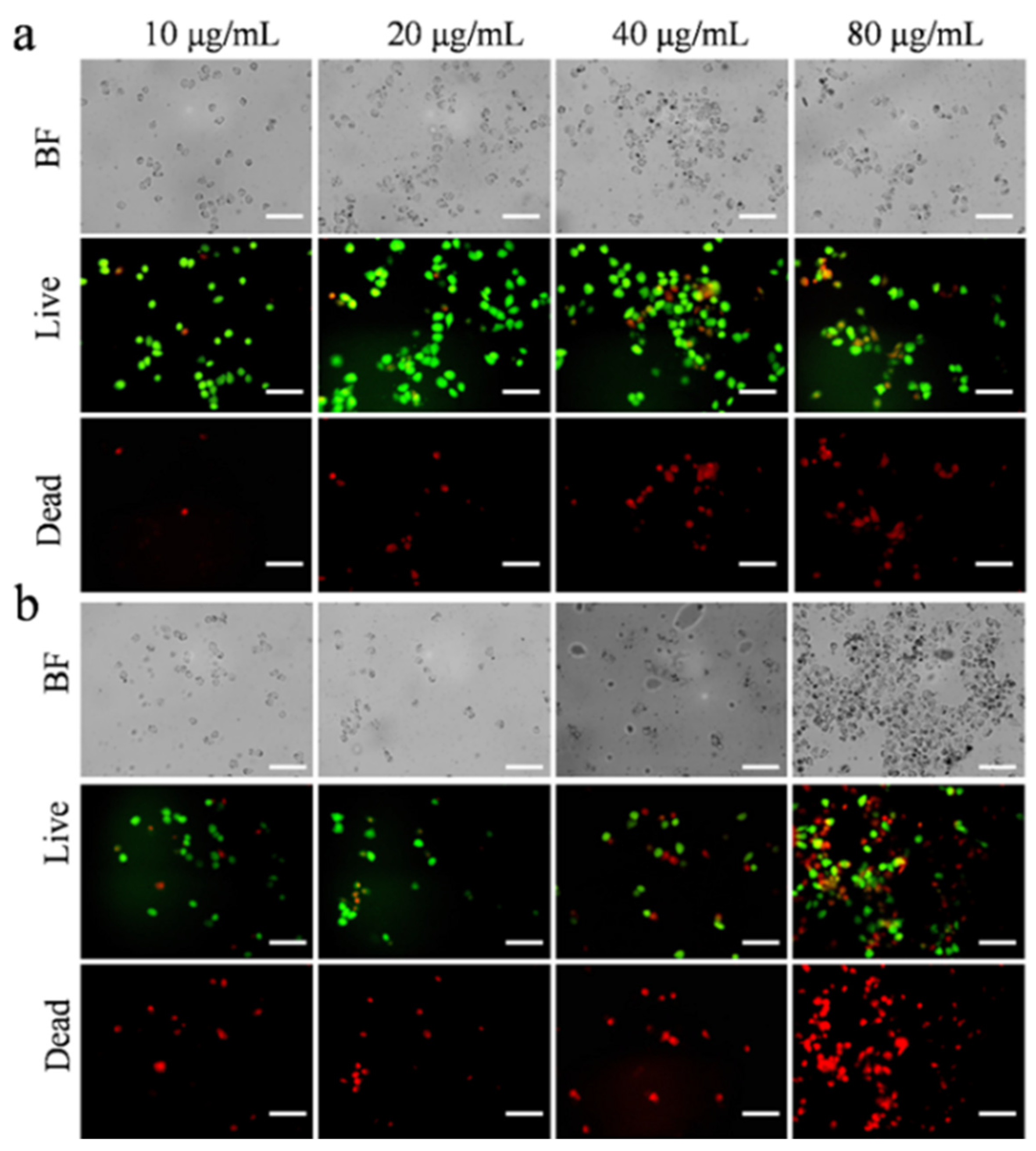 Nanomaterials 15 00748 g006