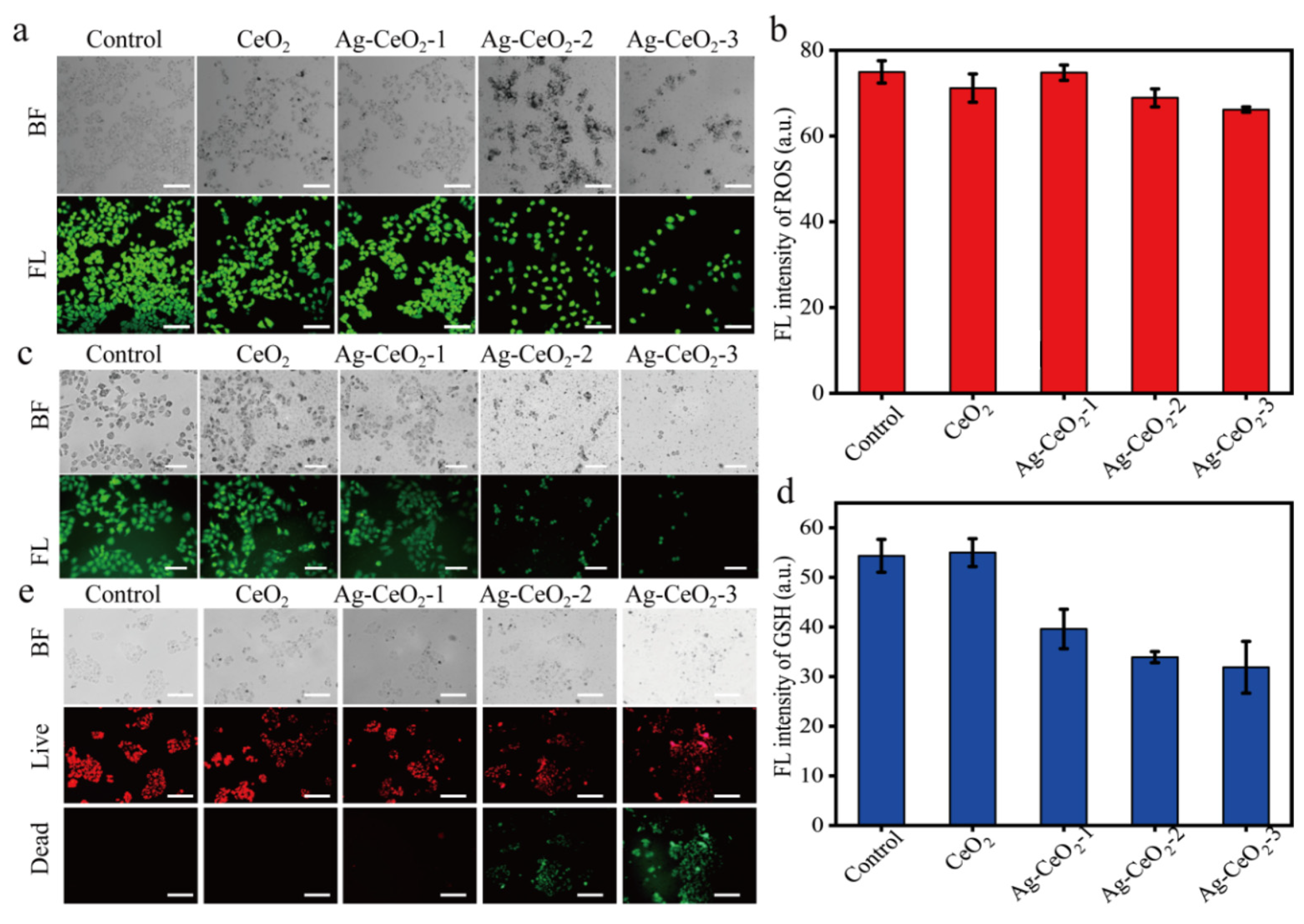 Nanomaterials 15 00748 g007