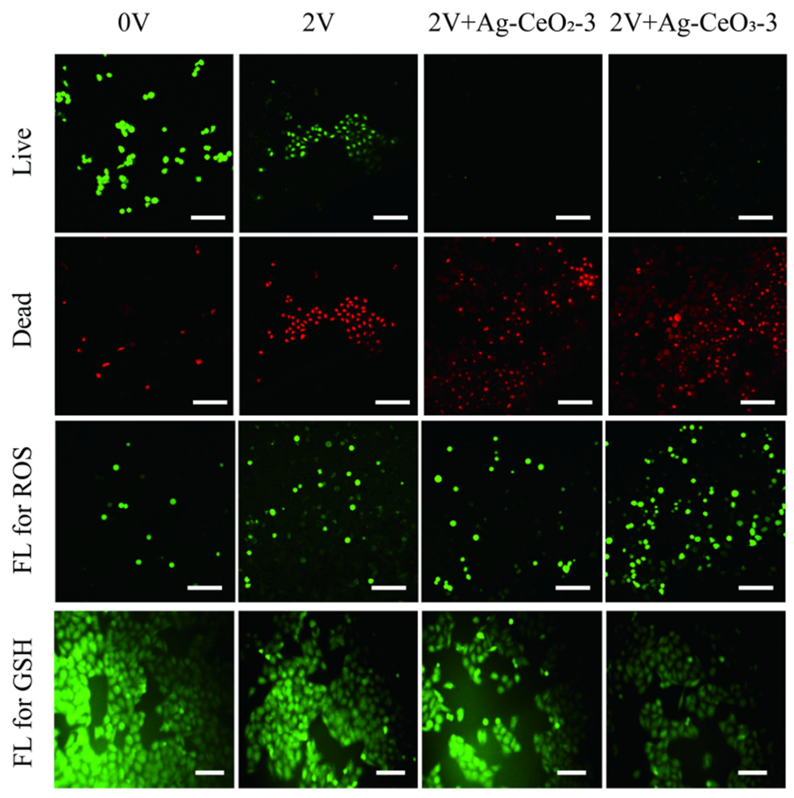 Nanomaterials 15 00748 g008