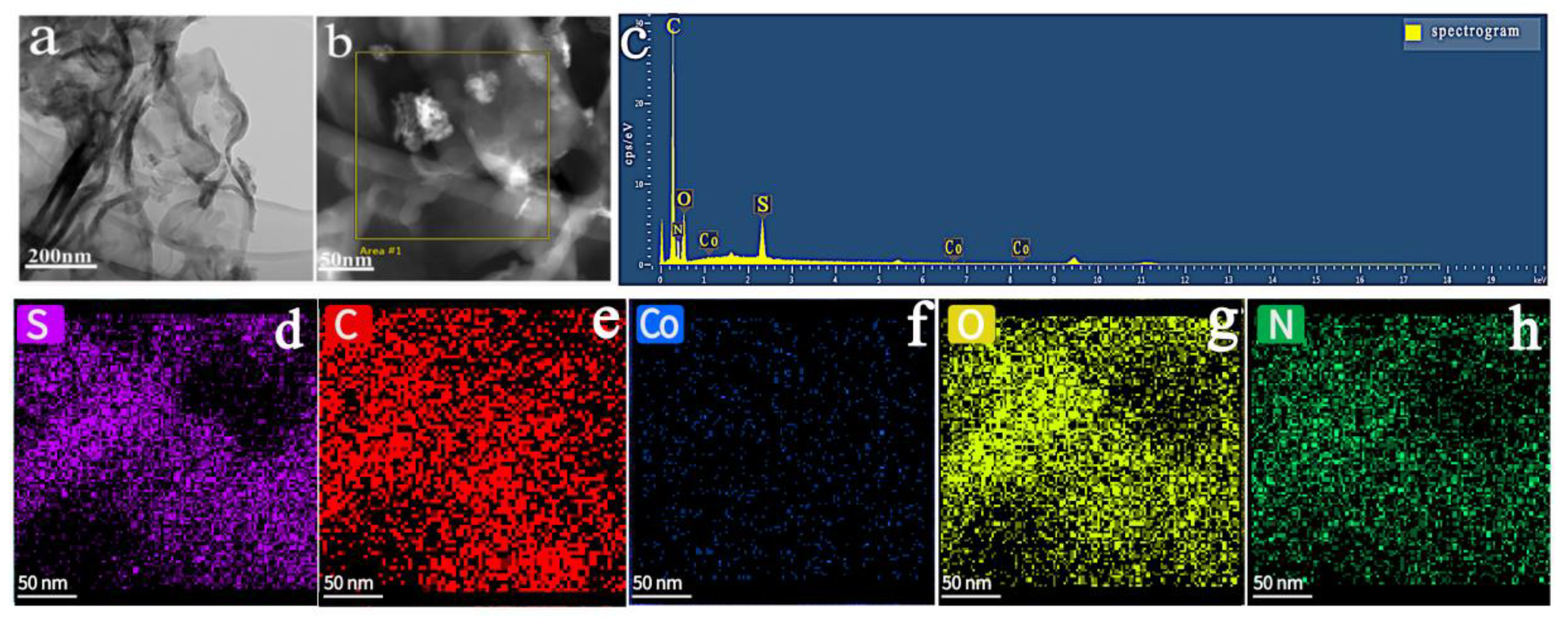 Nanomaterials 15 00752 g004