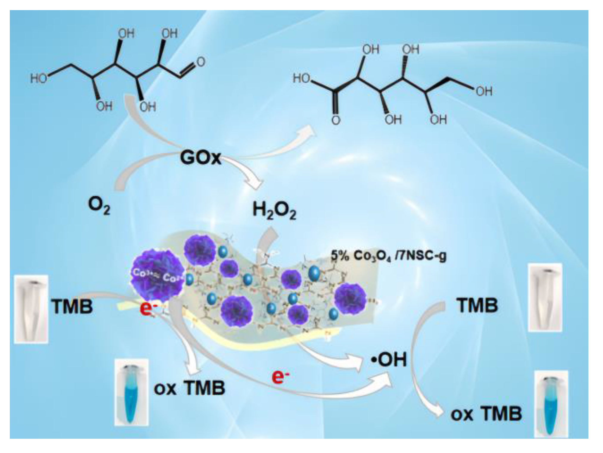 Nanomaterials 15 00752 g009