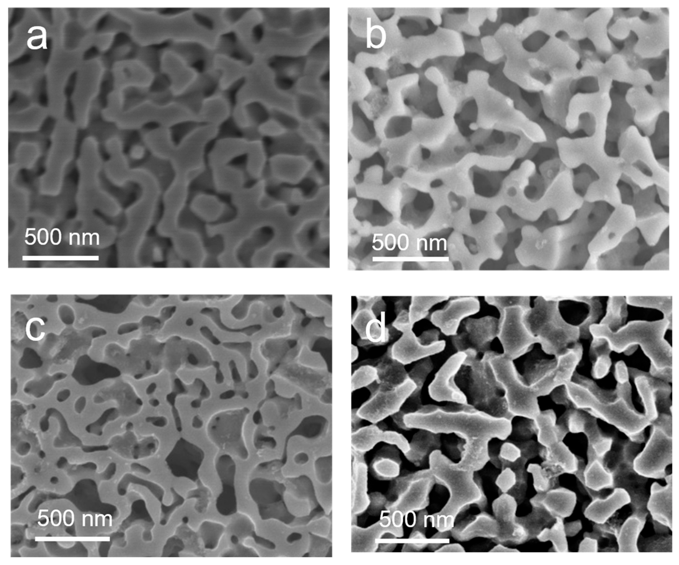 Nanomaterials 15 00753 g002