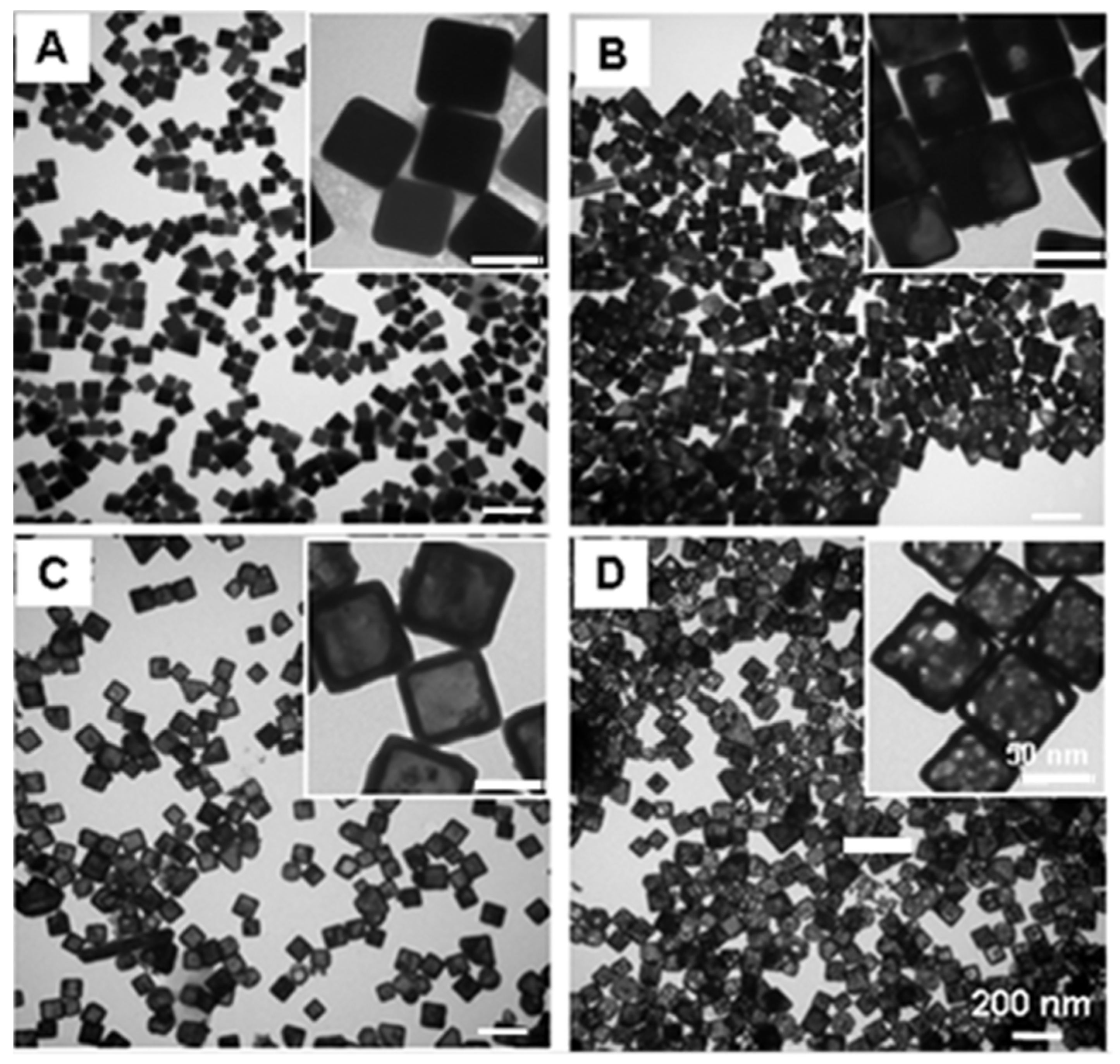 Nanomaterials 15 00755 g002