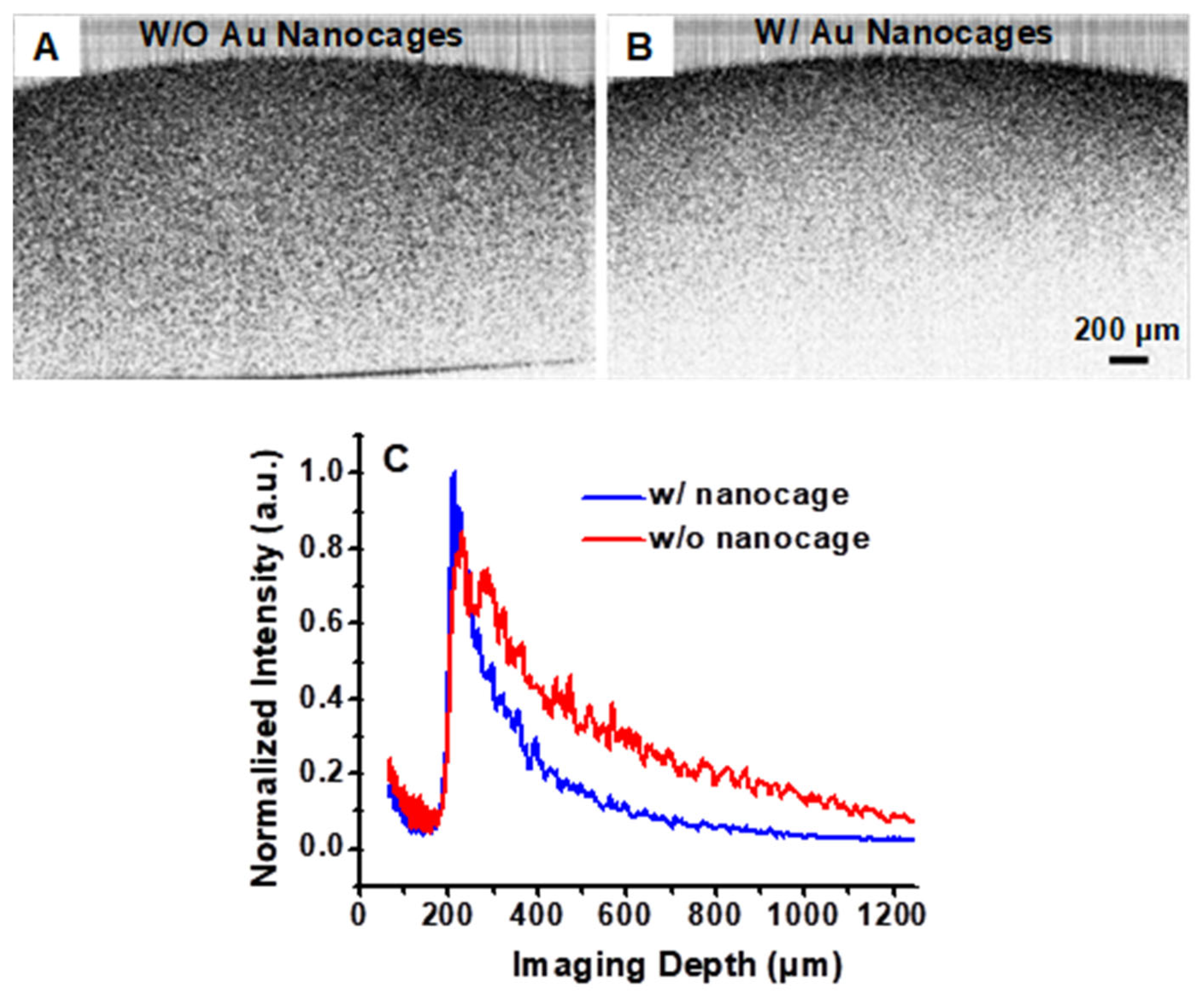 Nanomaterials 15 00755 g004