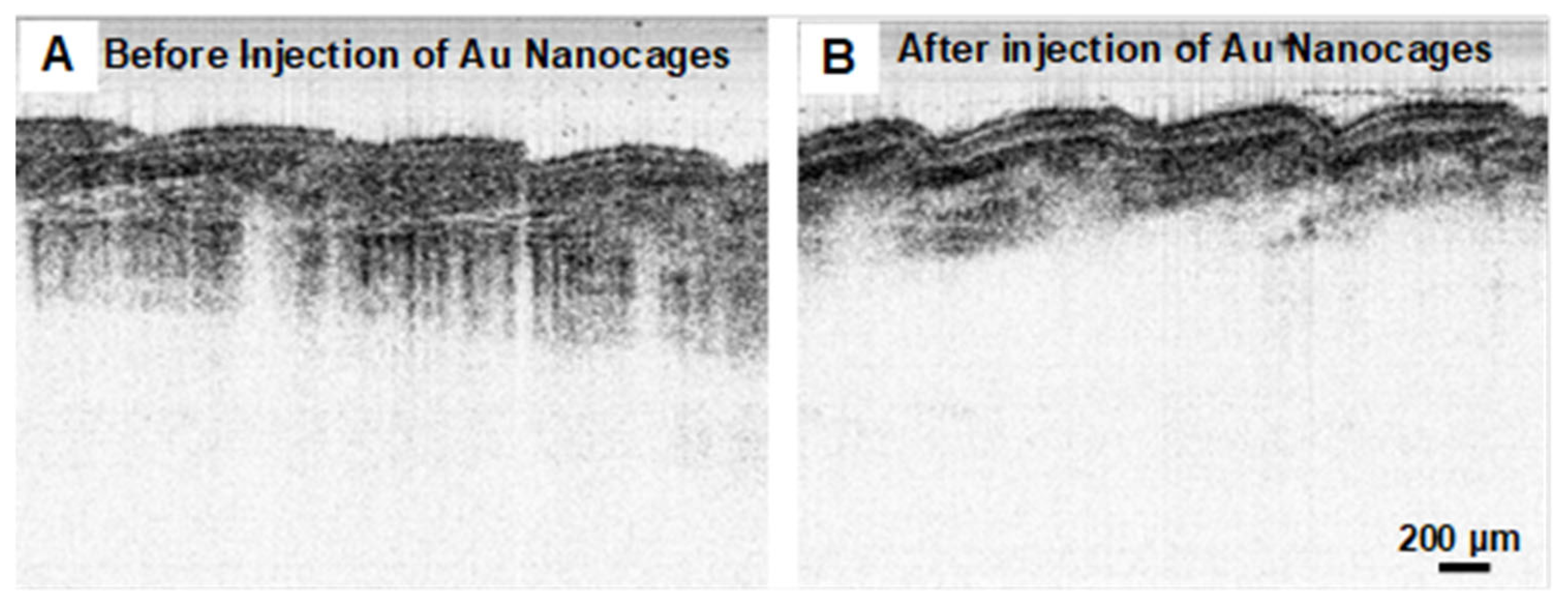 Nanomaterials 15 00755 g005