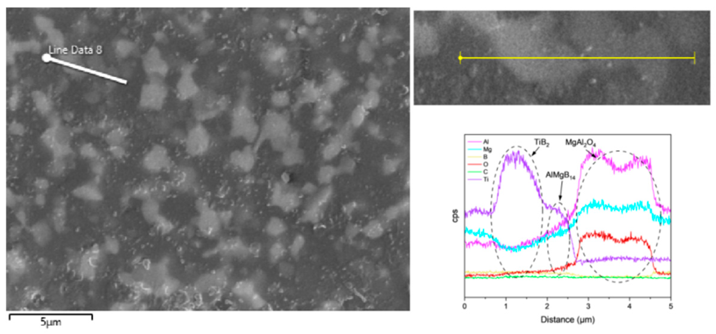 Nanomaterials 15 00764 g010