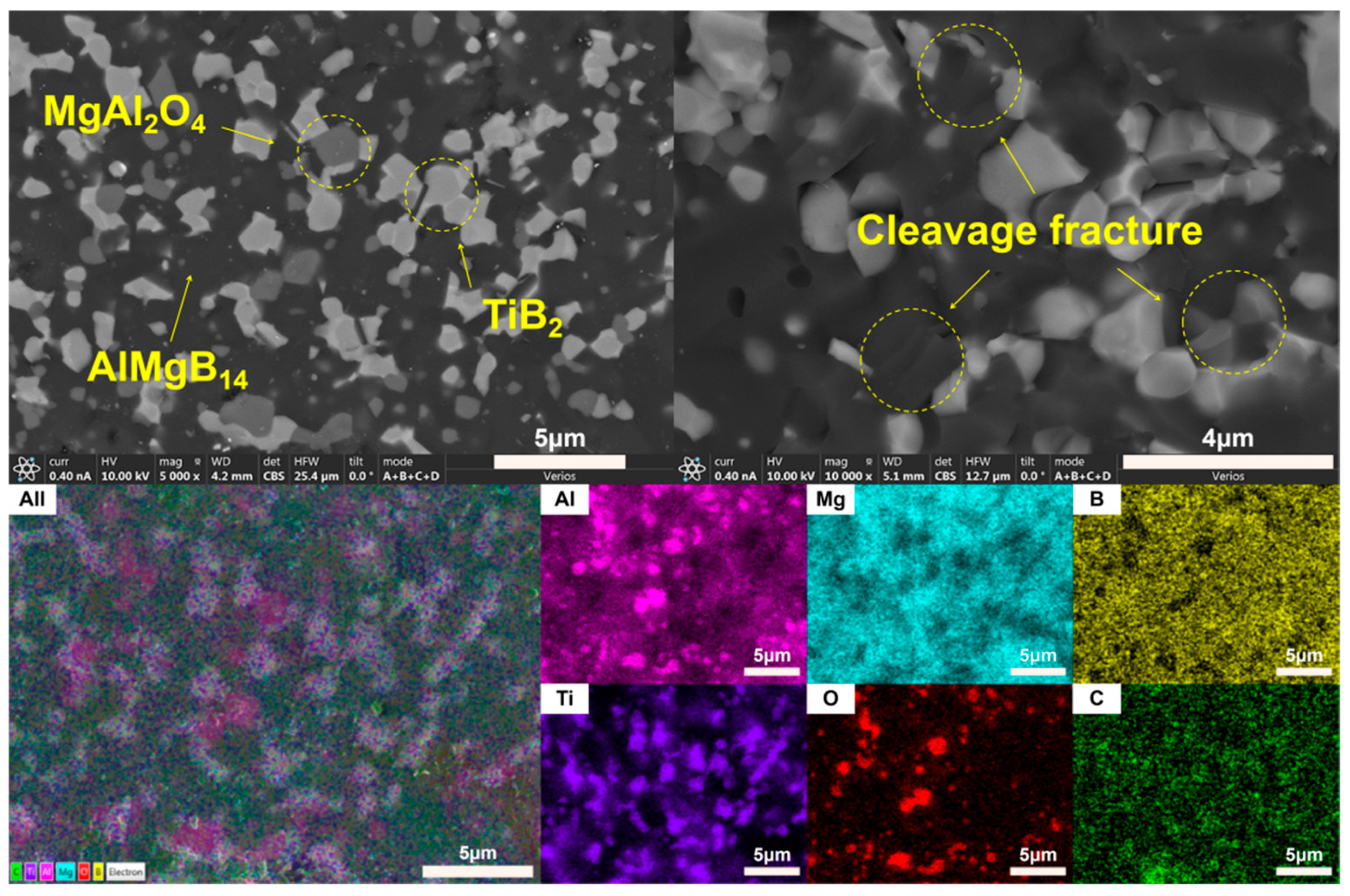 Nanomaterials 15 00764 g011