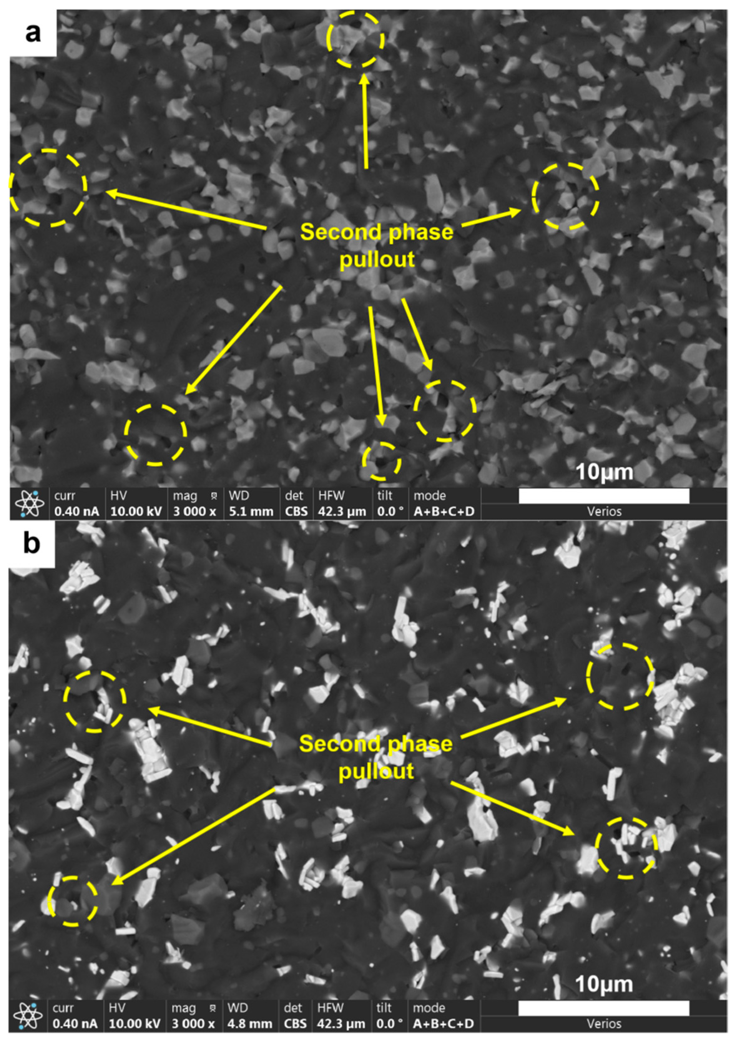 Nanomaterials 15 00764 g014