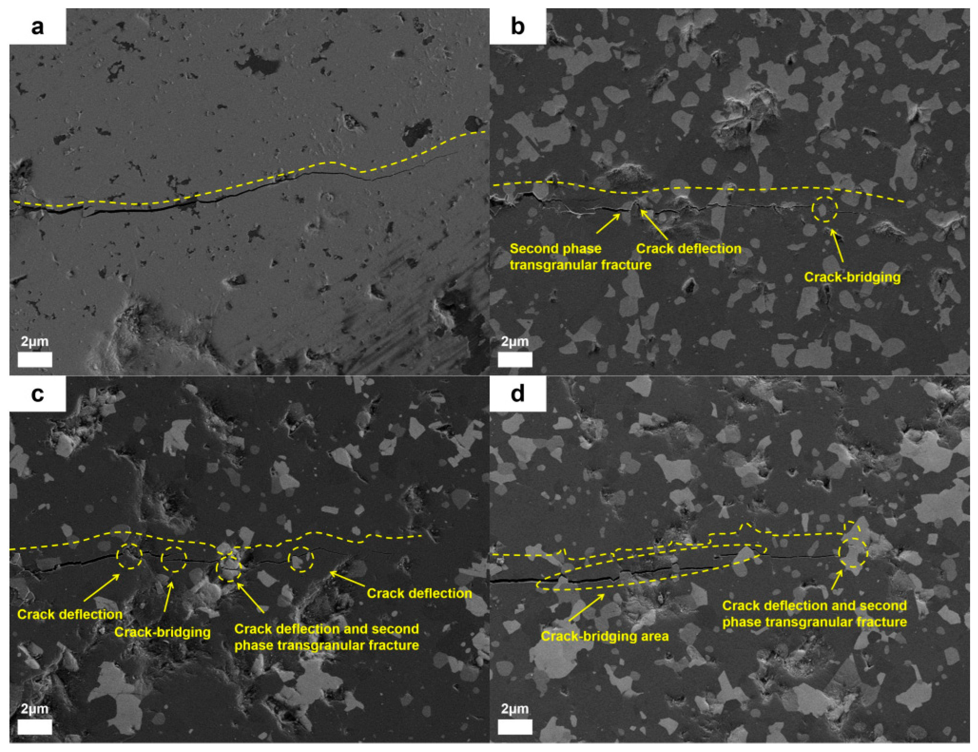 Nanomaterials 15 00764 g018