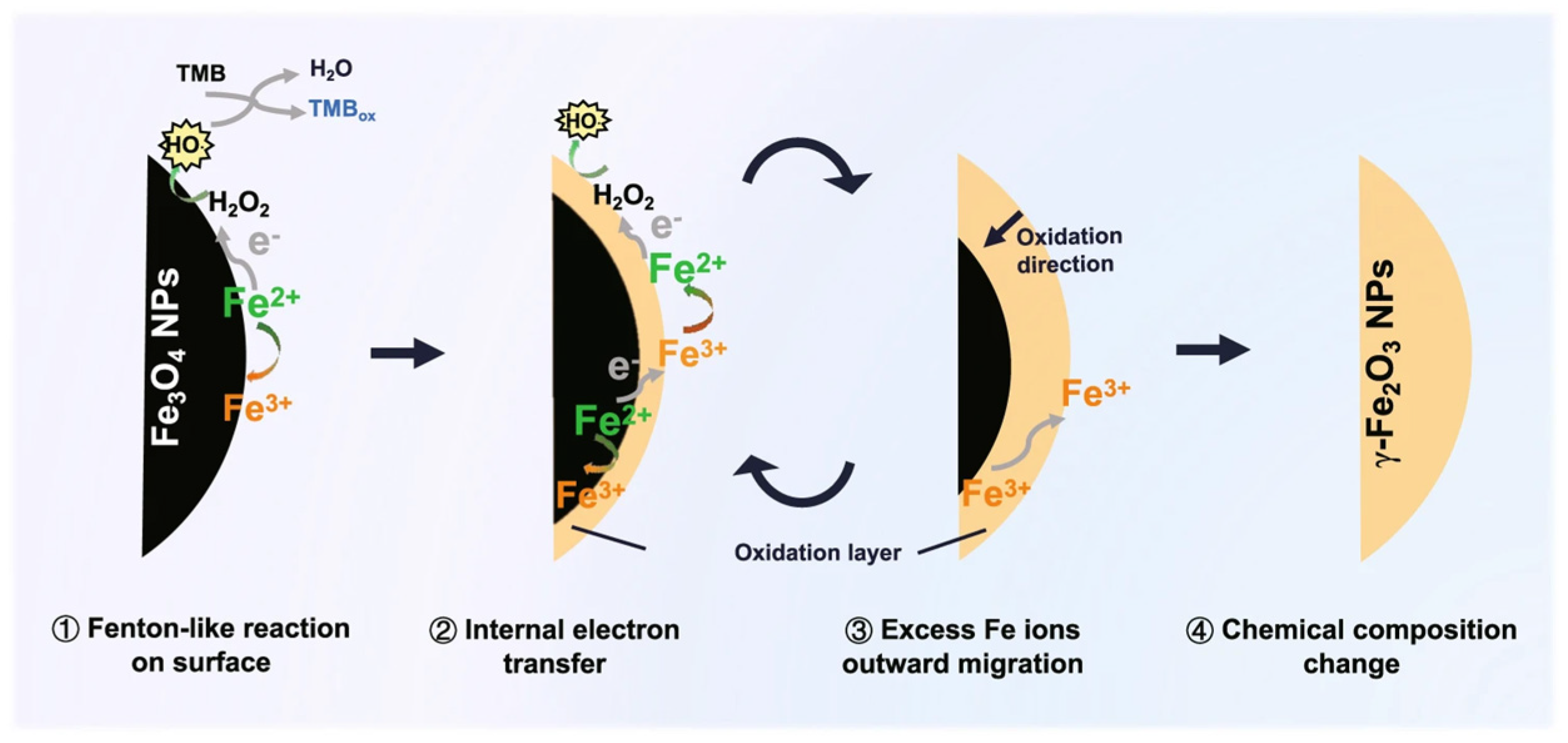 Nanomaterials 15 00765 g004