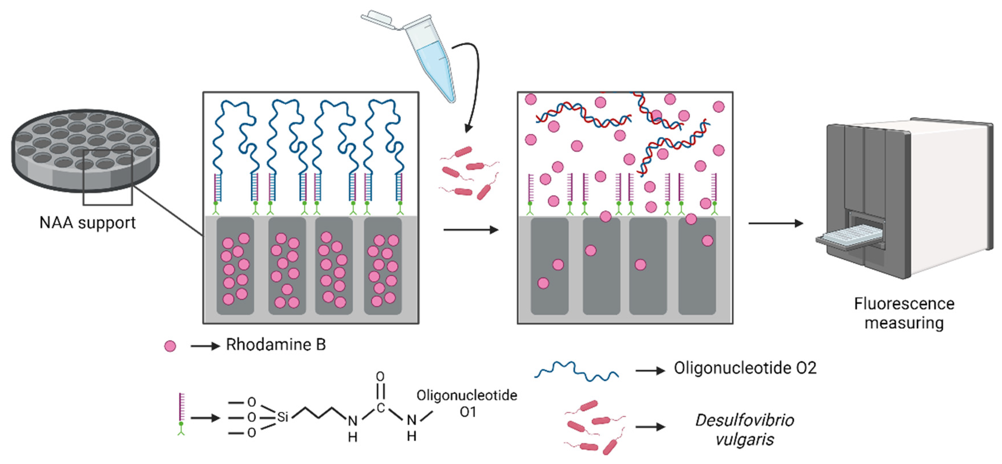 Nanomaterials 15 00774 g001