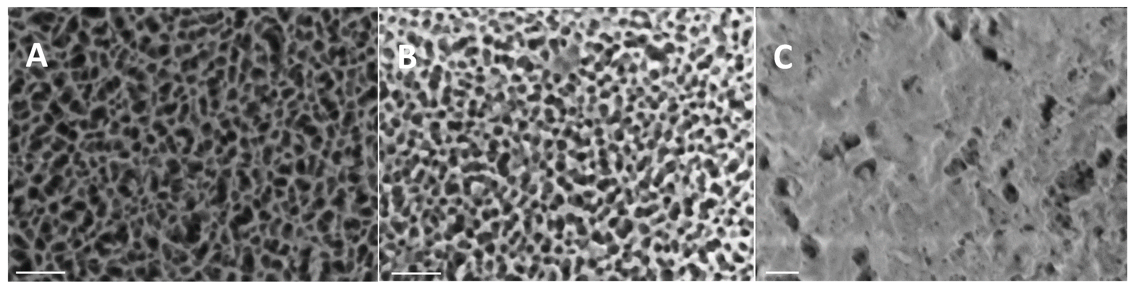 Nanomaterials 15 00774 g002