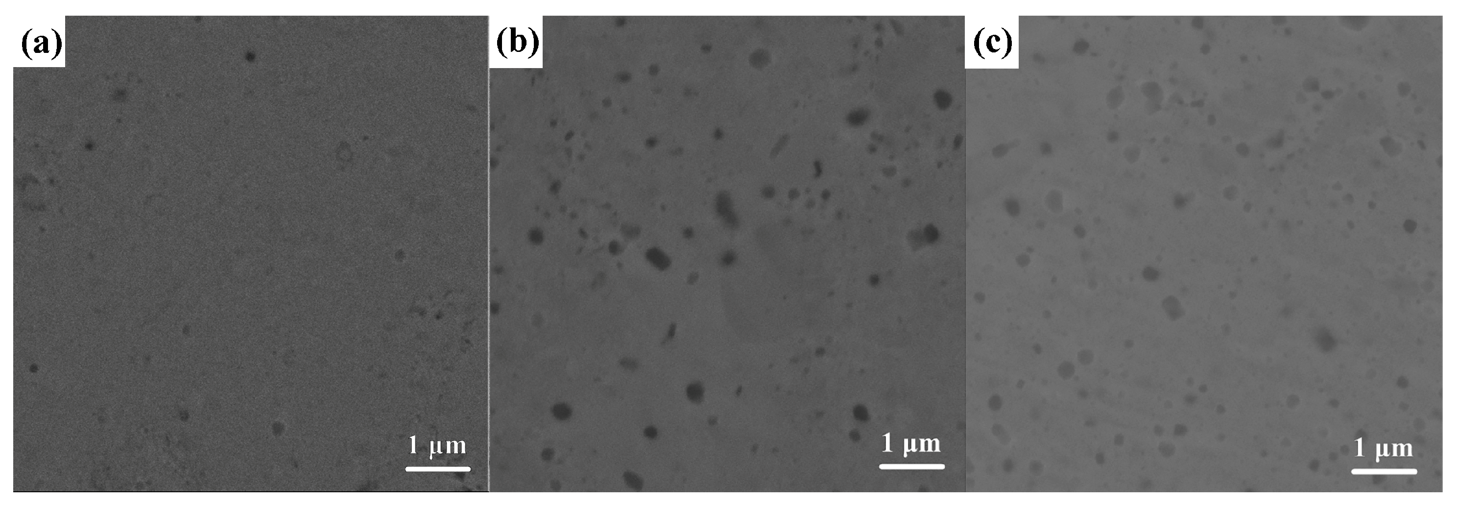 Nanomaterials 15 00775 g001