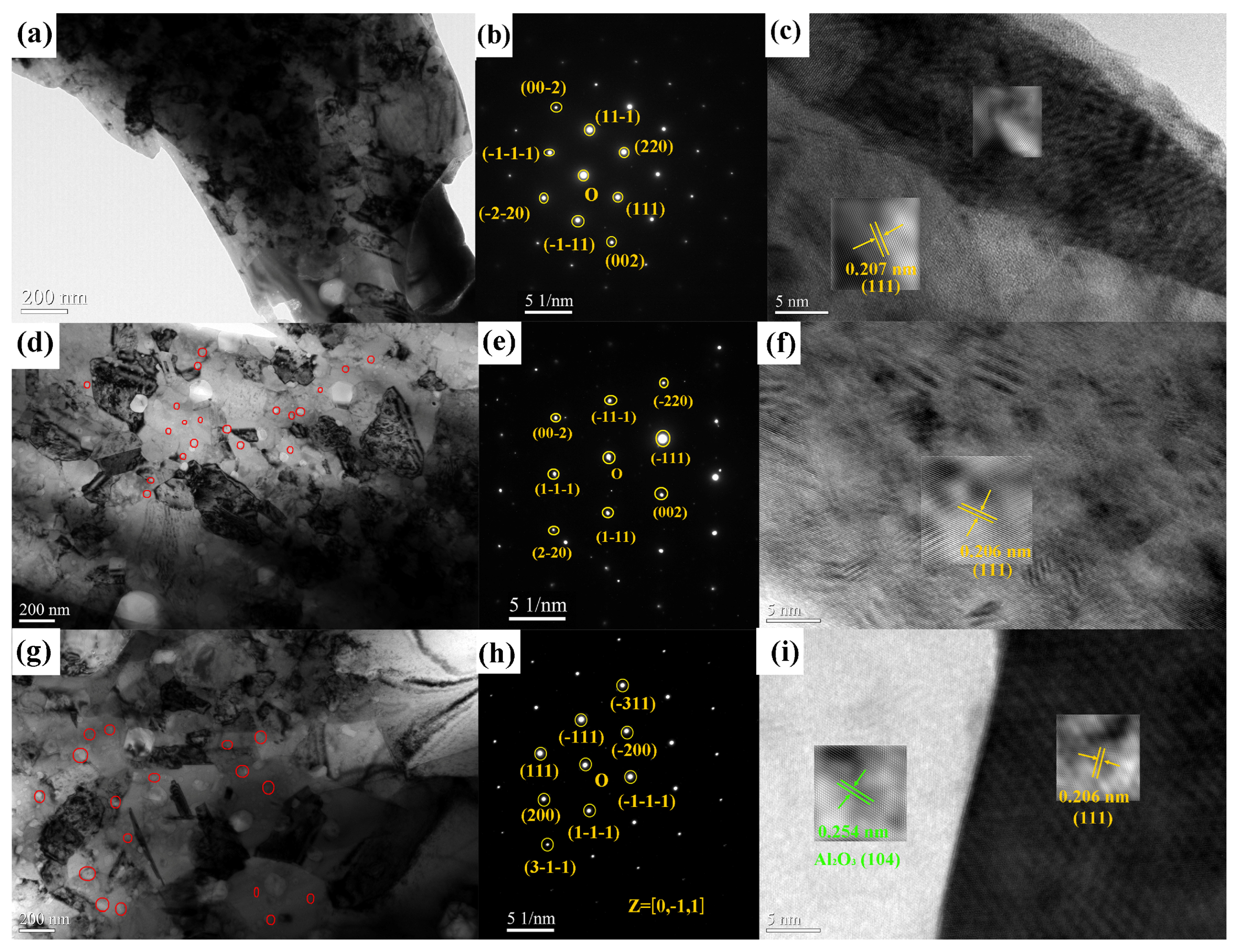 Nanomaterials 15 00775 g003