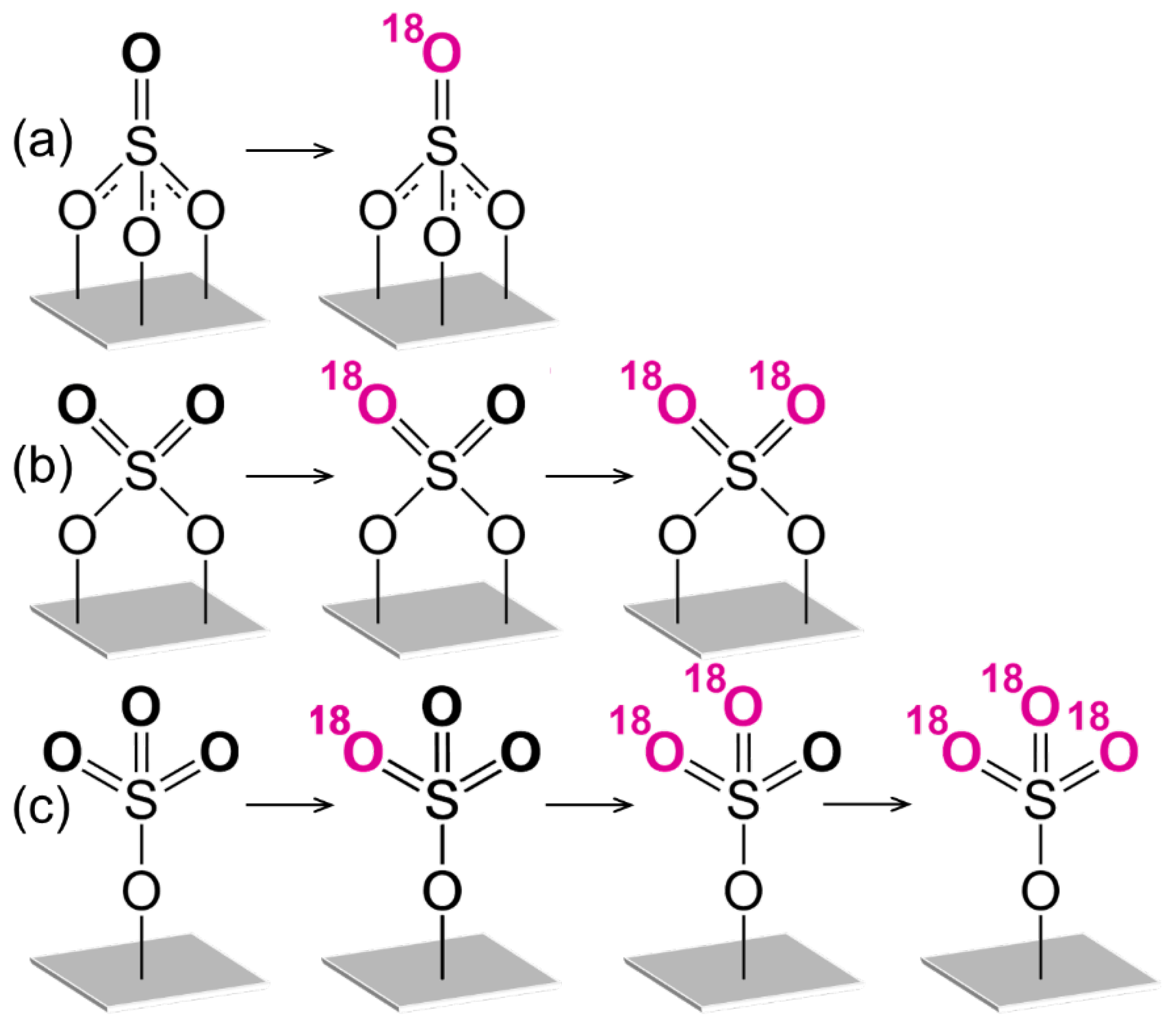 Nanomaterials 15 00779 g010