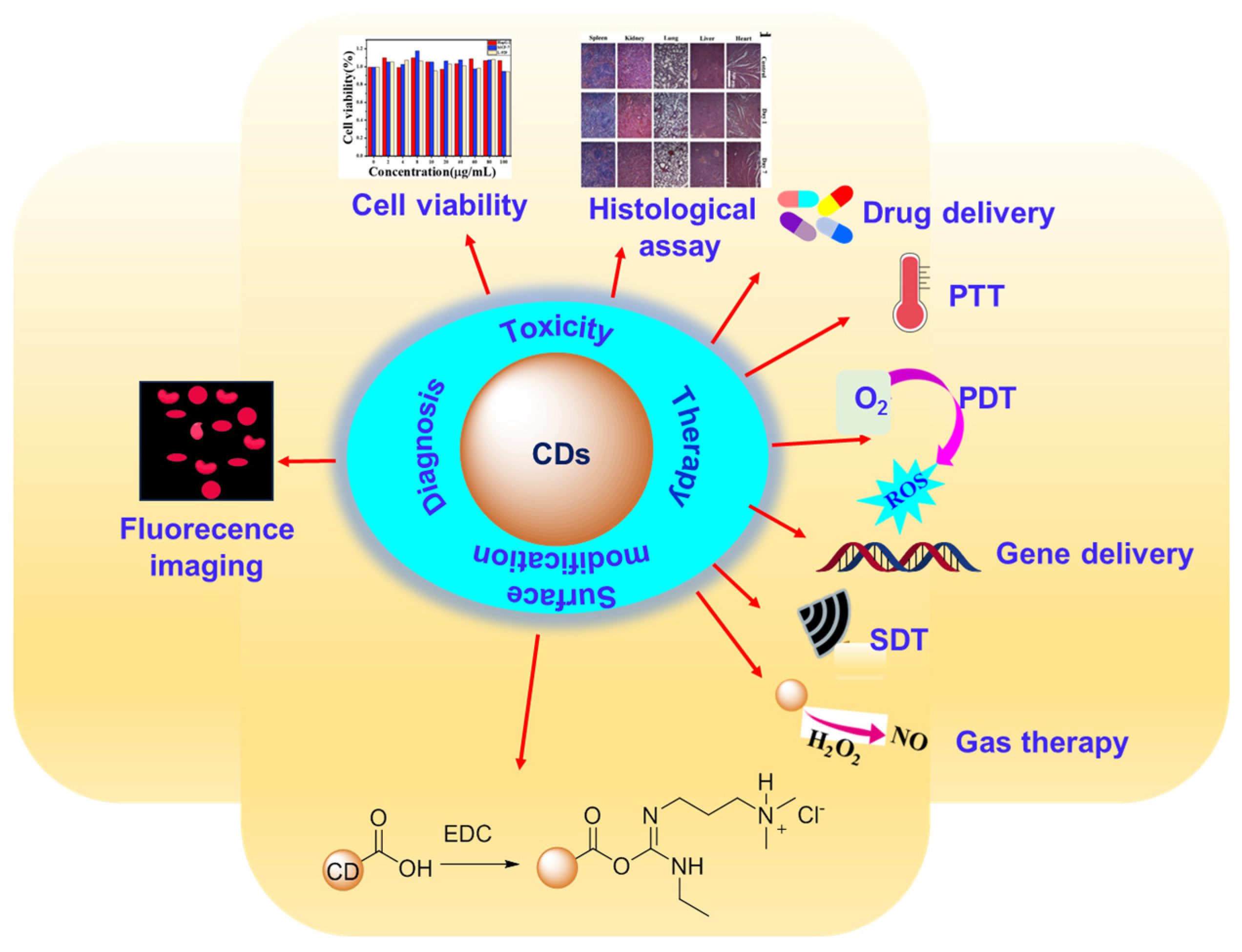 Nanomaterials 15 00781 g002