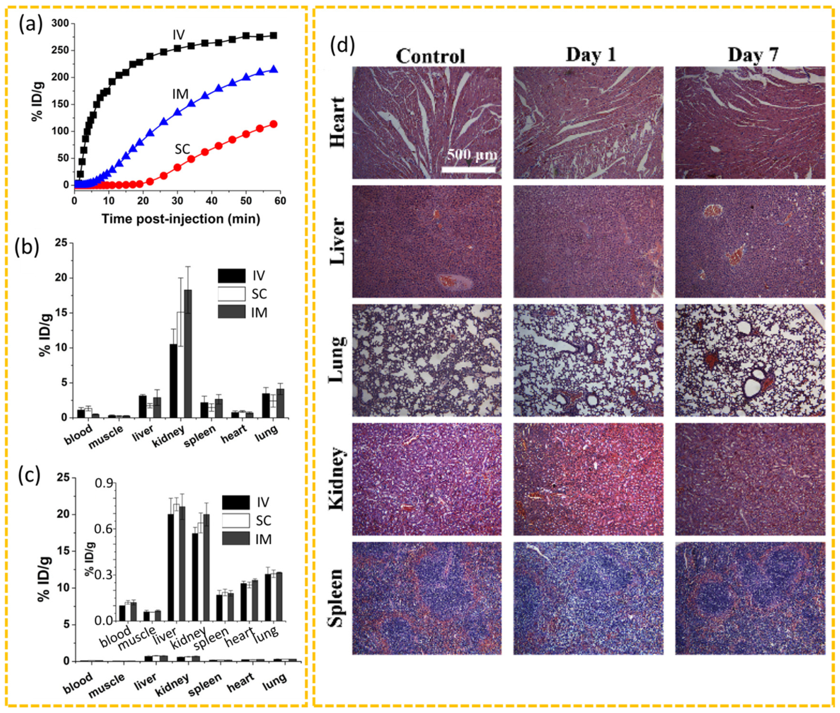 Nanomaterials 15 00781 g007