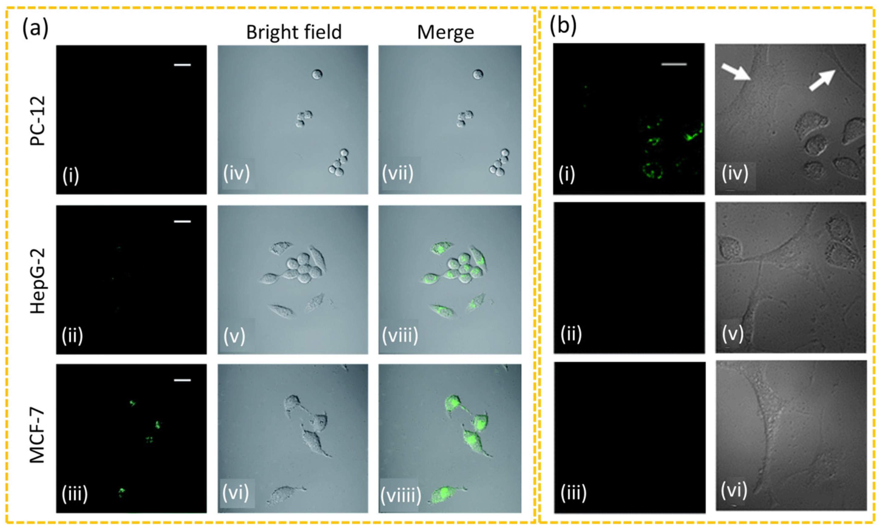 Nanomaterials 15 00781 g008