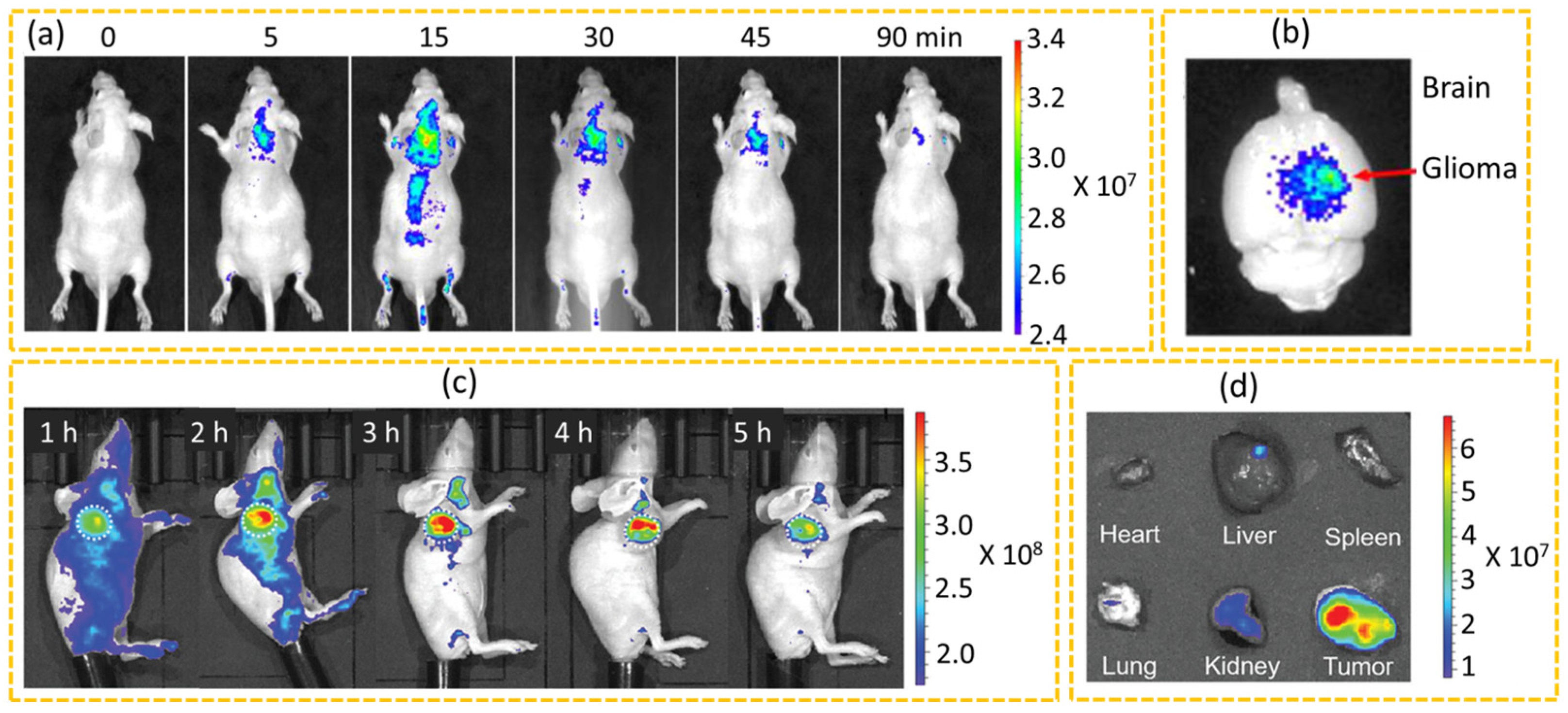 Nanomaterials 15 00781 g009