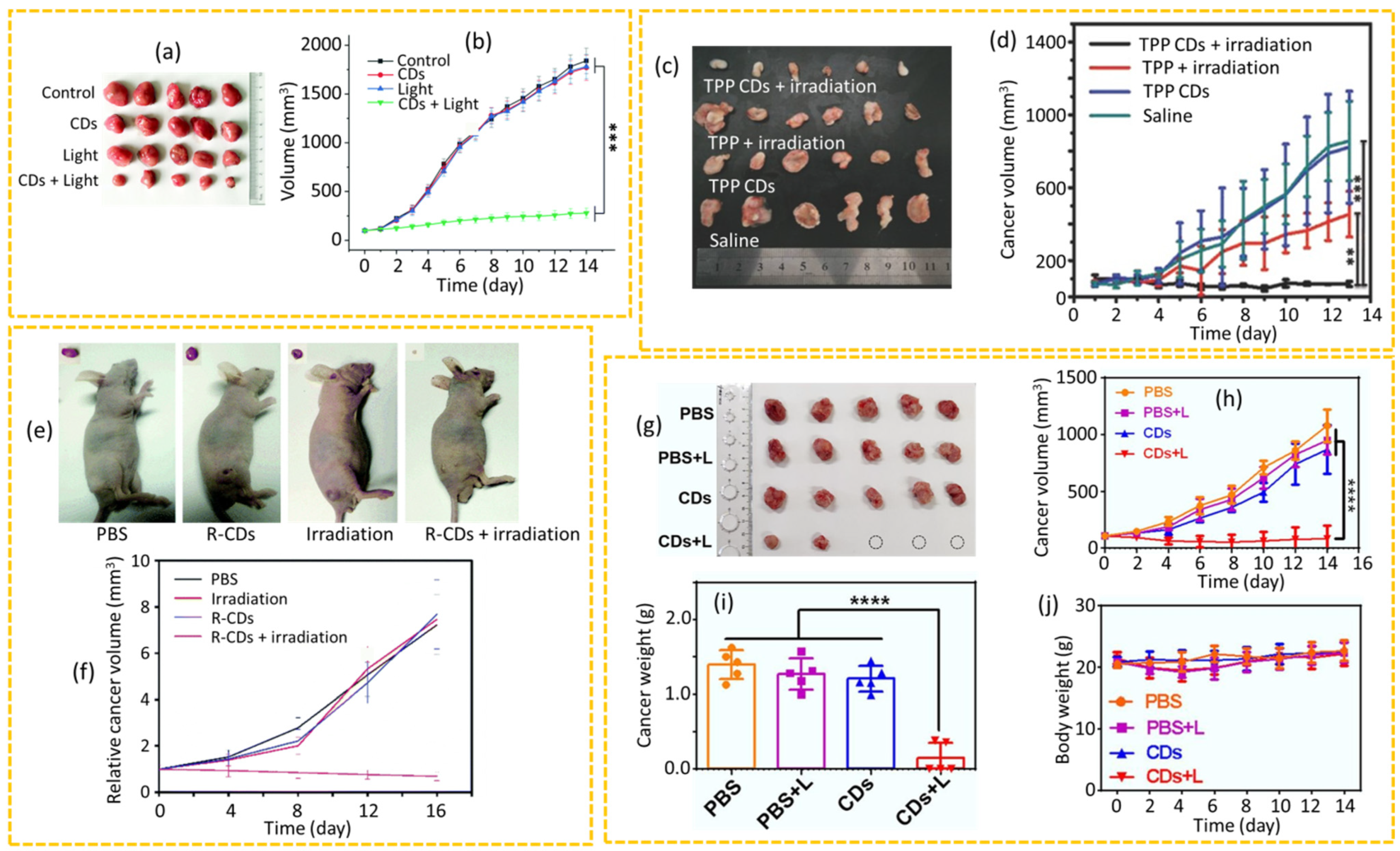 Nanomaterials 15 00781 g012