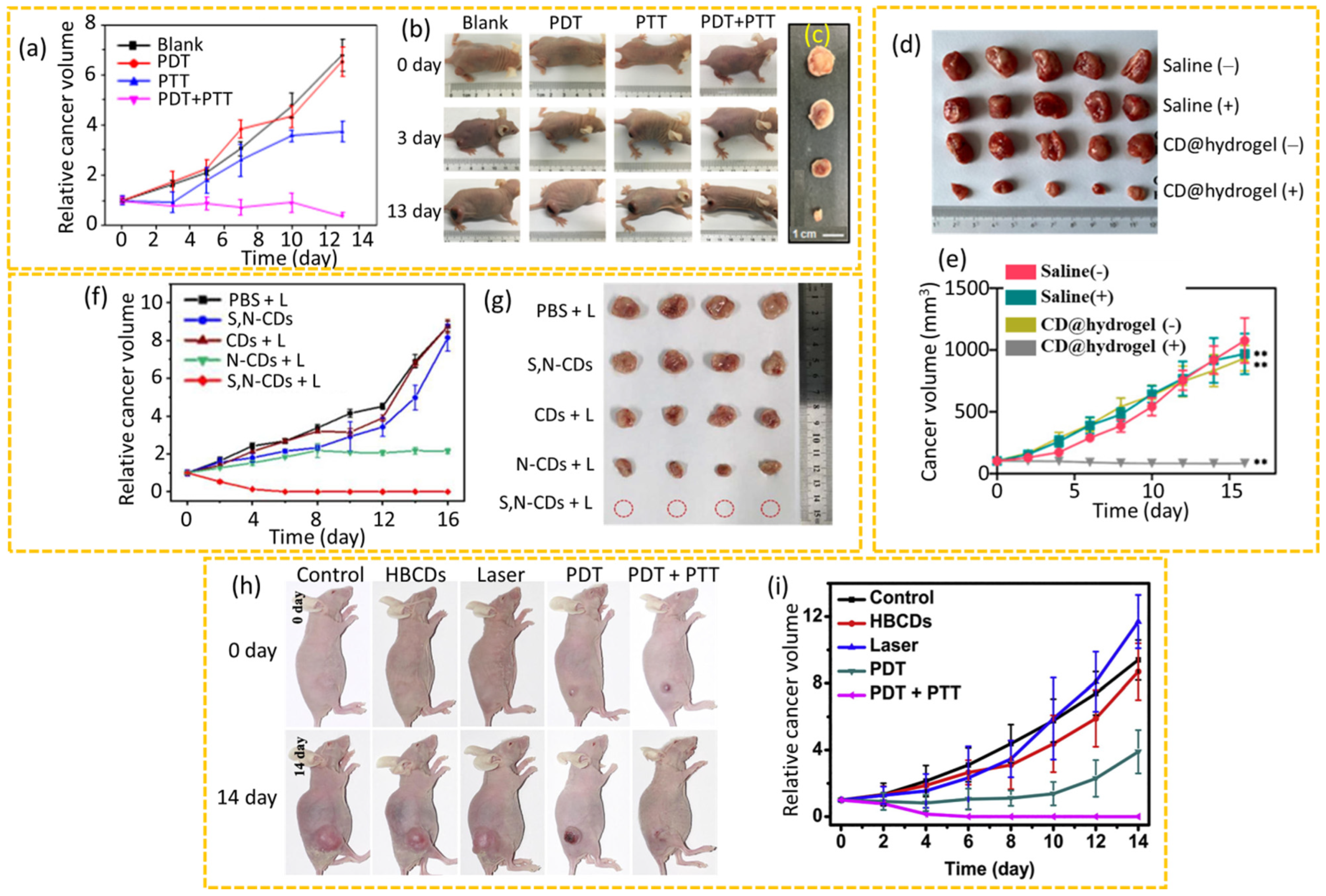 Nanomaterials 15 00781 g013